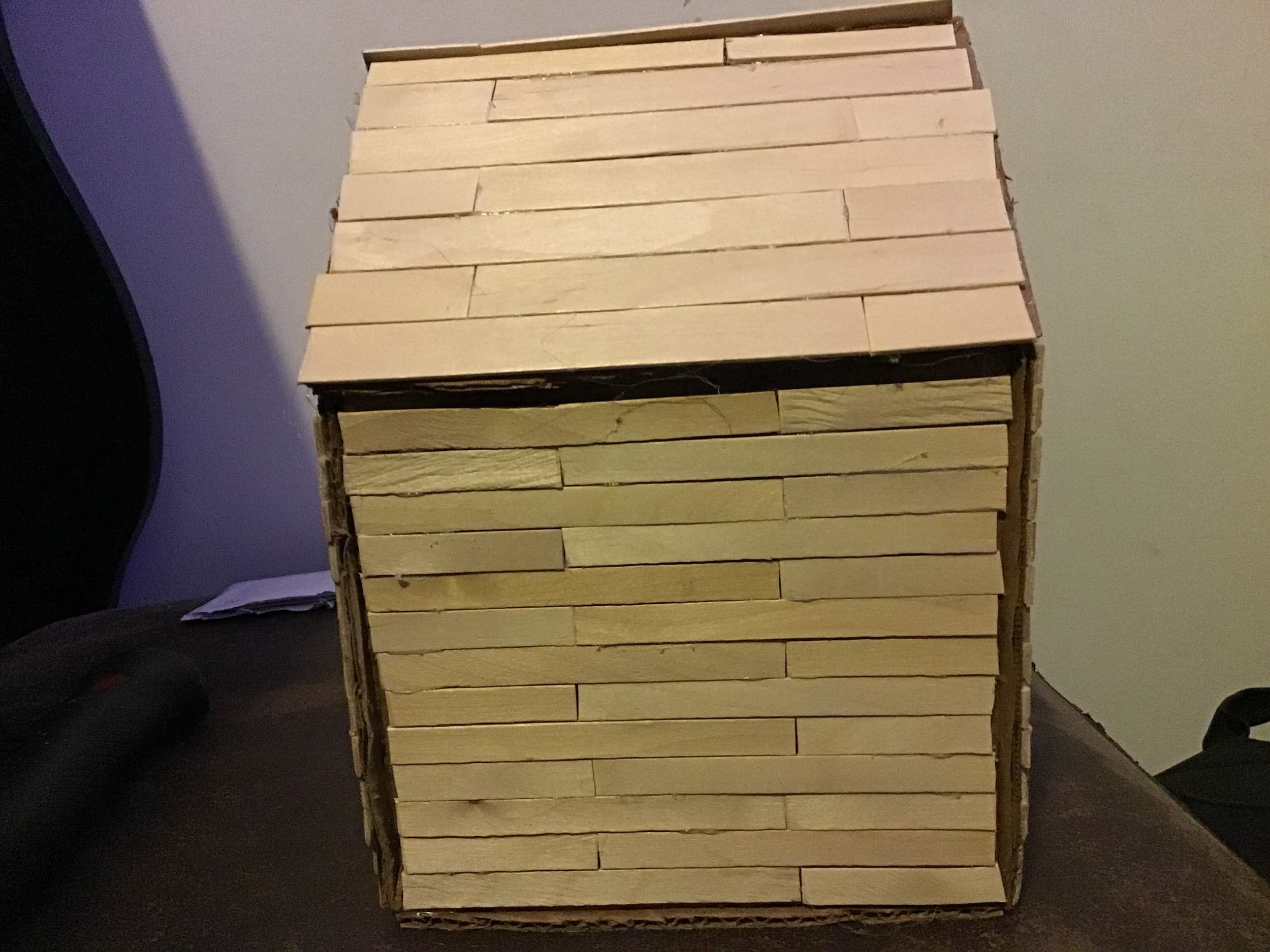 Finish Paneling Birdhouse (Dec 5, 2020 at 9_43 AM).png