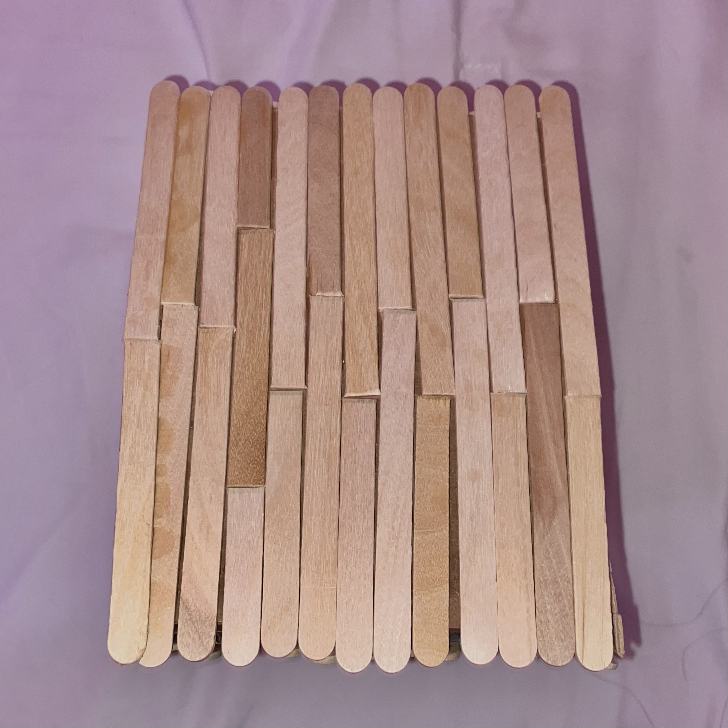 Finish Paneling Birdhouse (Dec 5, 2020 at 10_43 AM).png