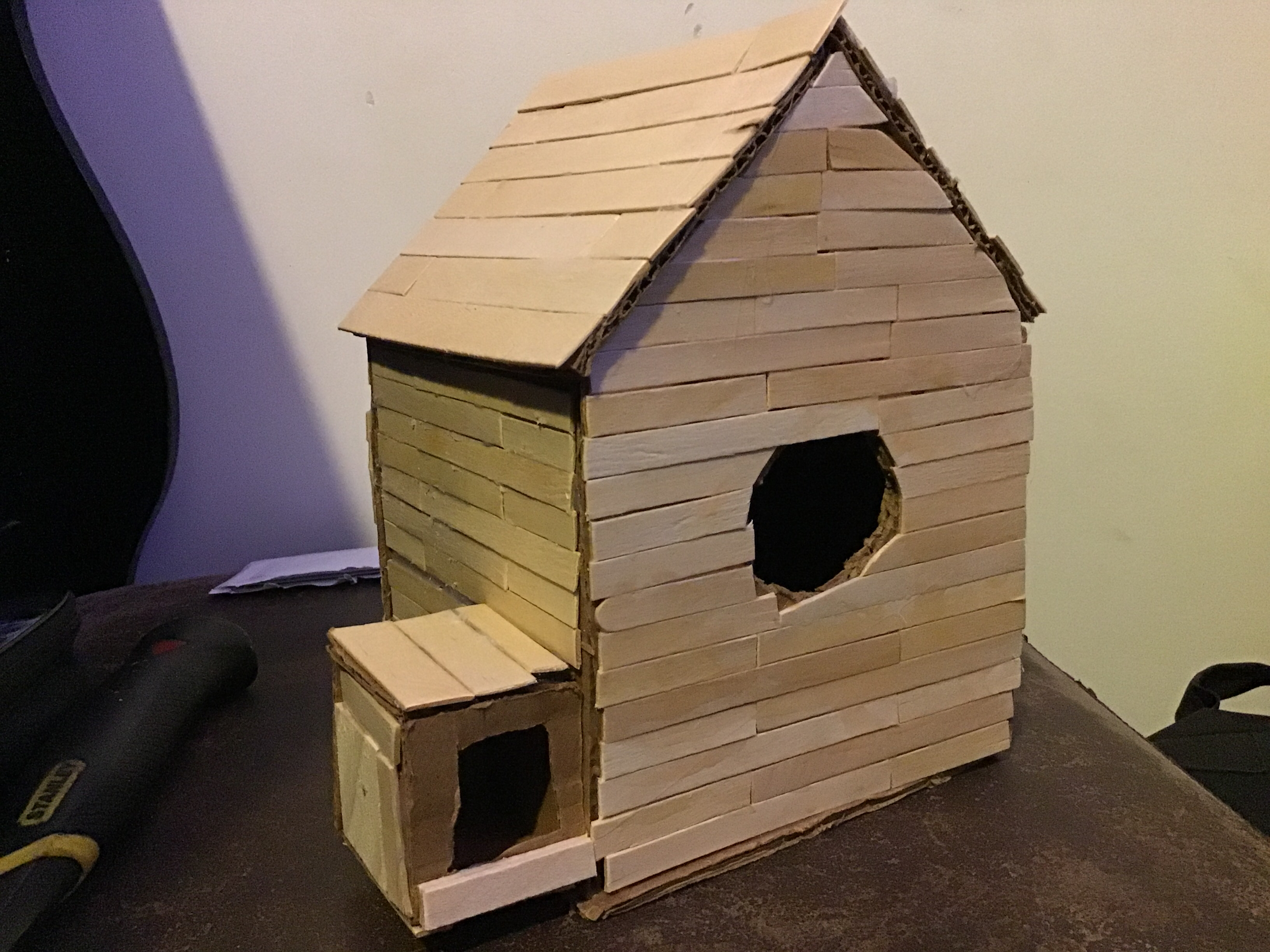 Finish Paneling Birdhouse (Dec 5, 2020 at 9_45 AM).png