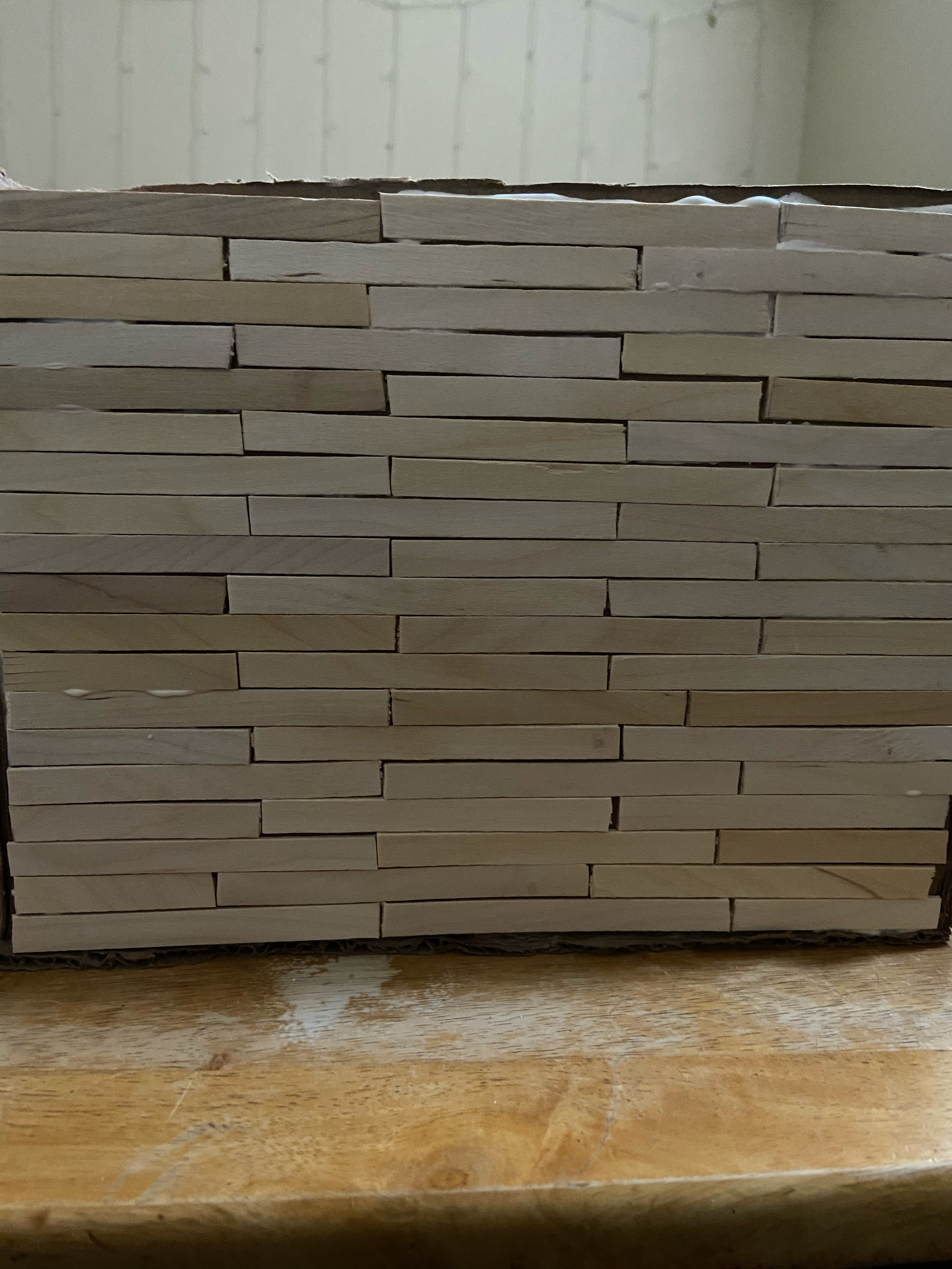 Finish Paneling Birdhouse (Dec 12, 2020 at 9_58 AM).png