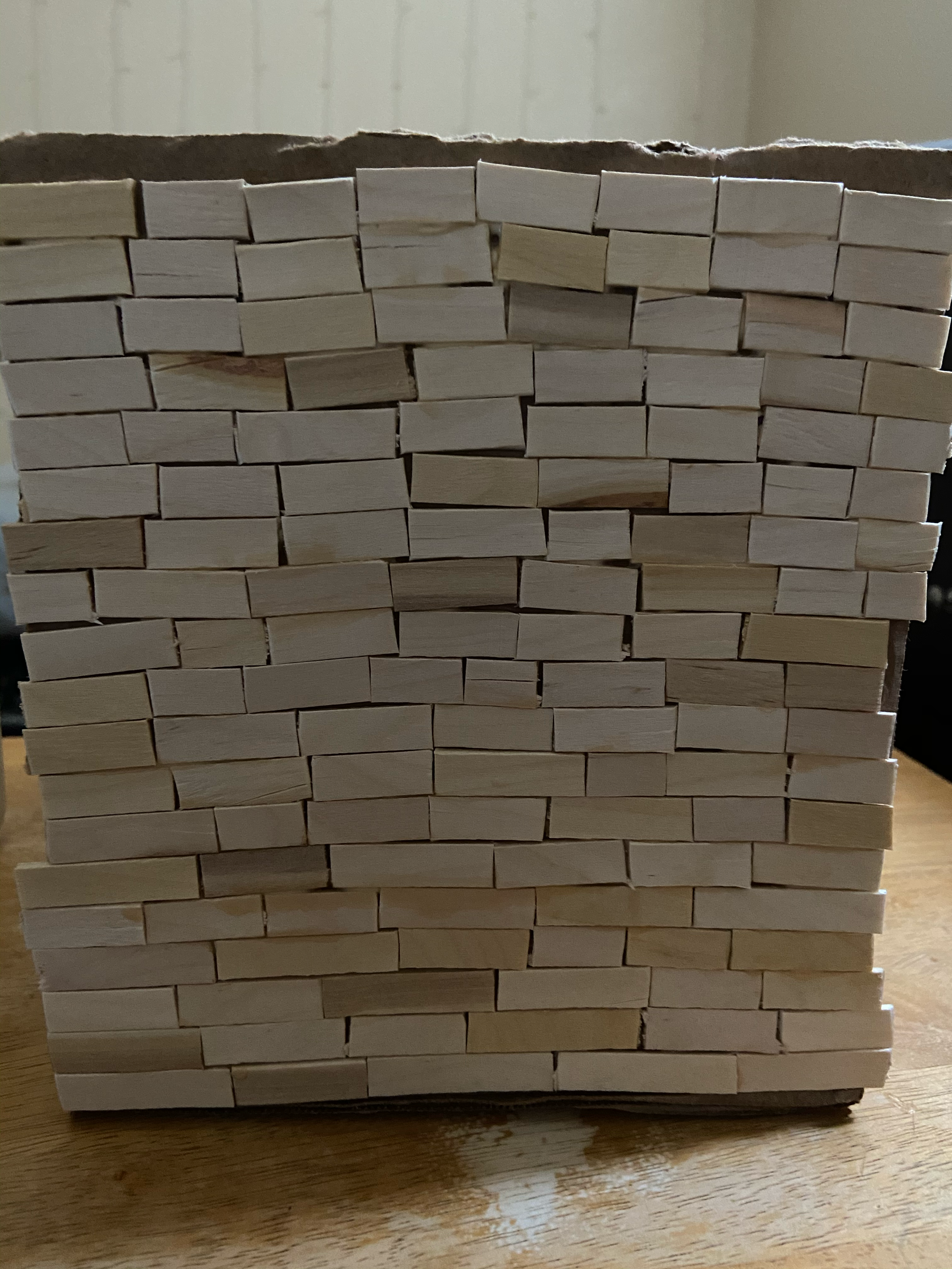 Finish Paneling Birdhouse (Dec 12, 2020 at 10_01 AM).png