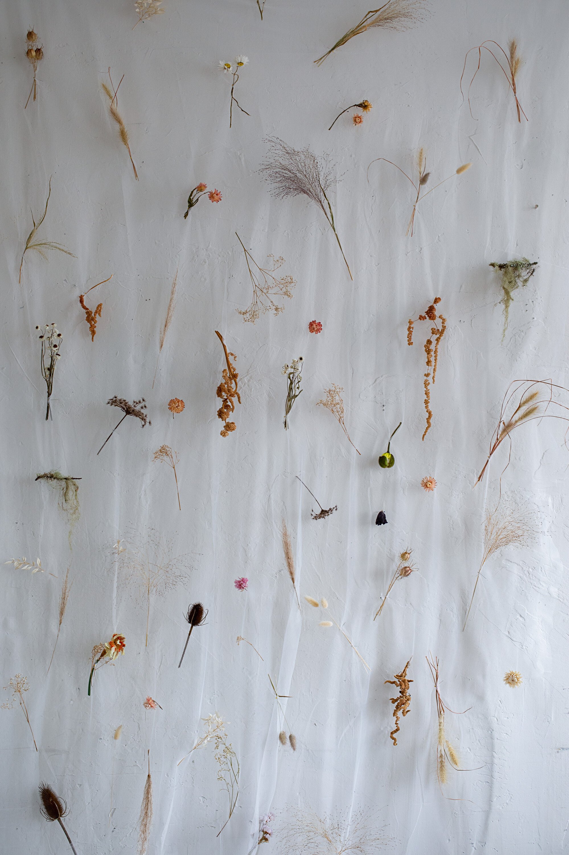 Open Studio