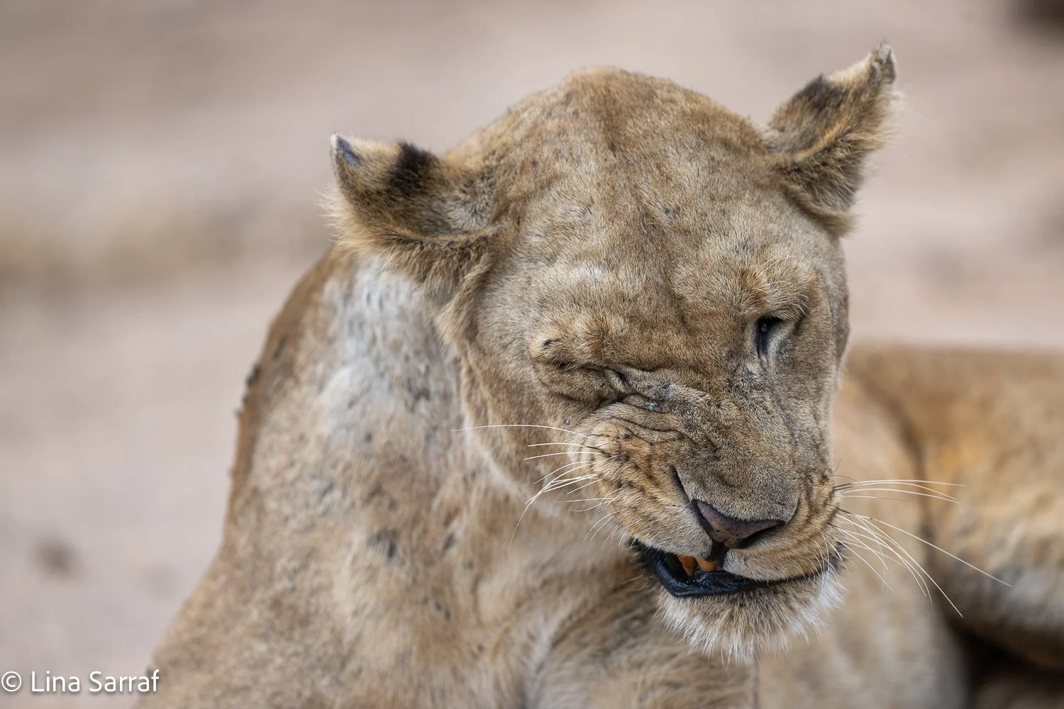  Africa Z9D_984969.jpg