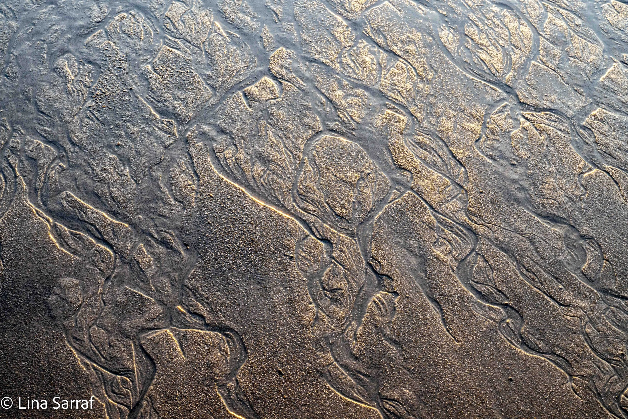 Close-up view of intricate patterns created by water streams on wet sandy surface, showing delicate maze-like formations with ridges and grooves.