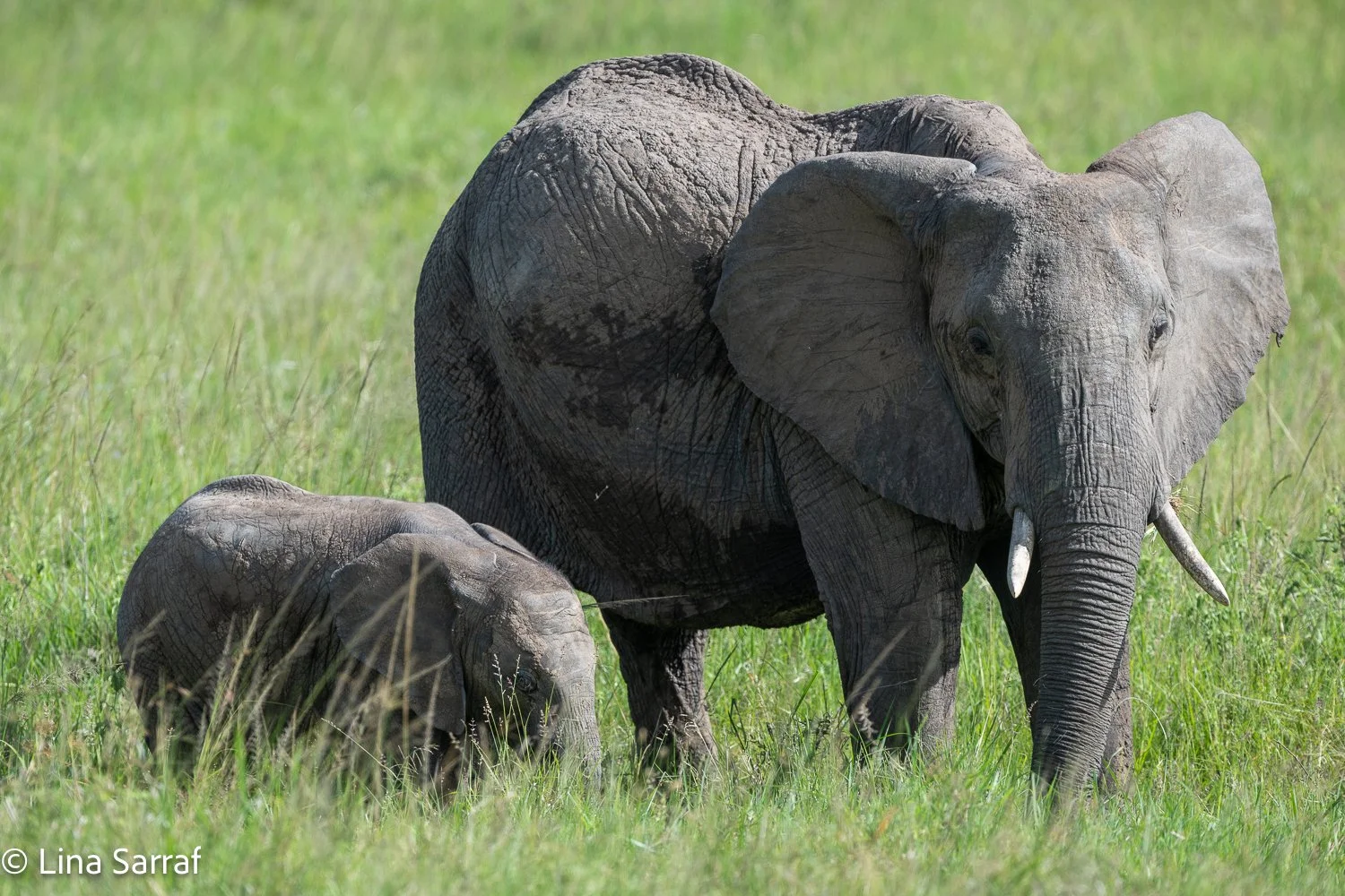  Africa Z9D_0388238.jpg