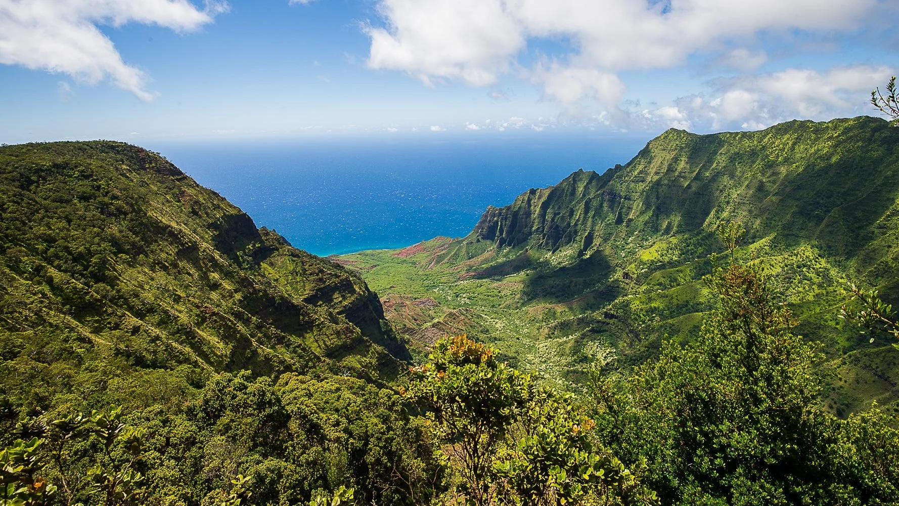  Hawaii-17.jpg