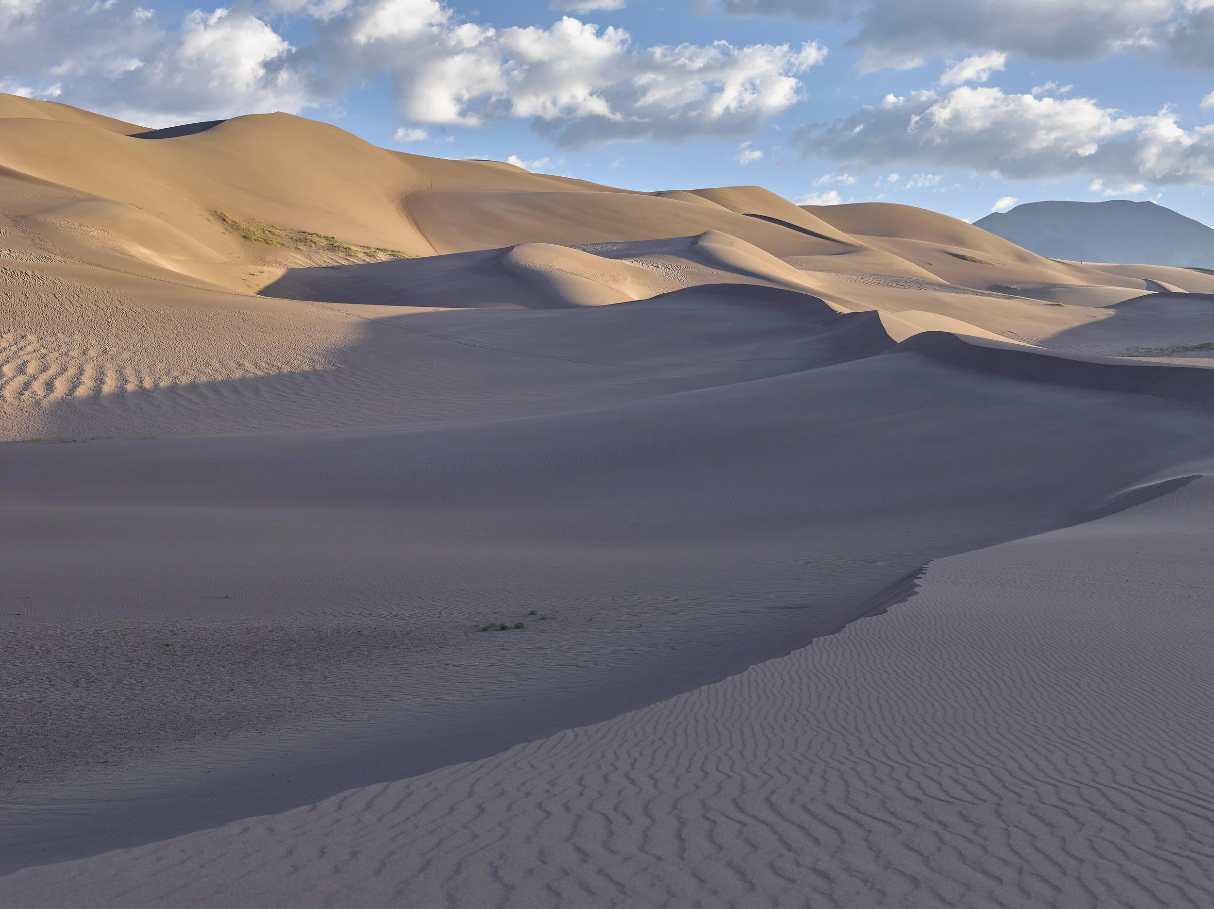 paysage 40.jpg