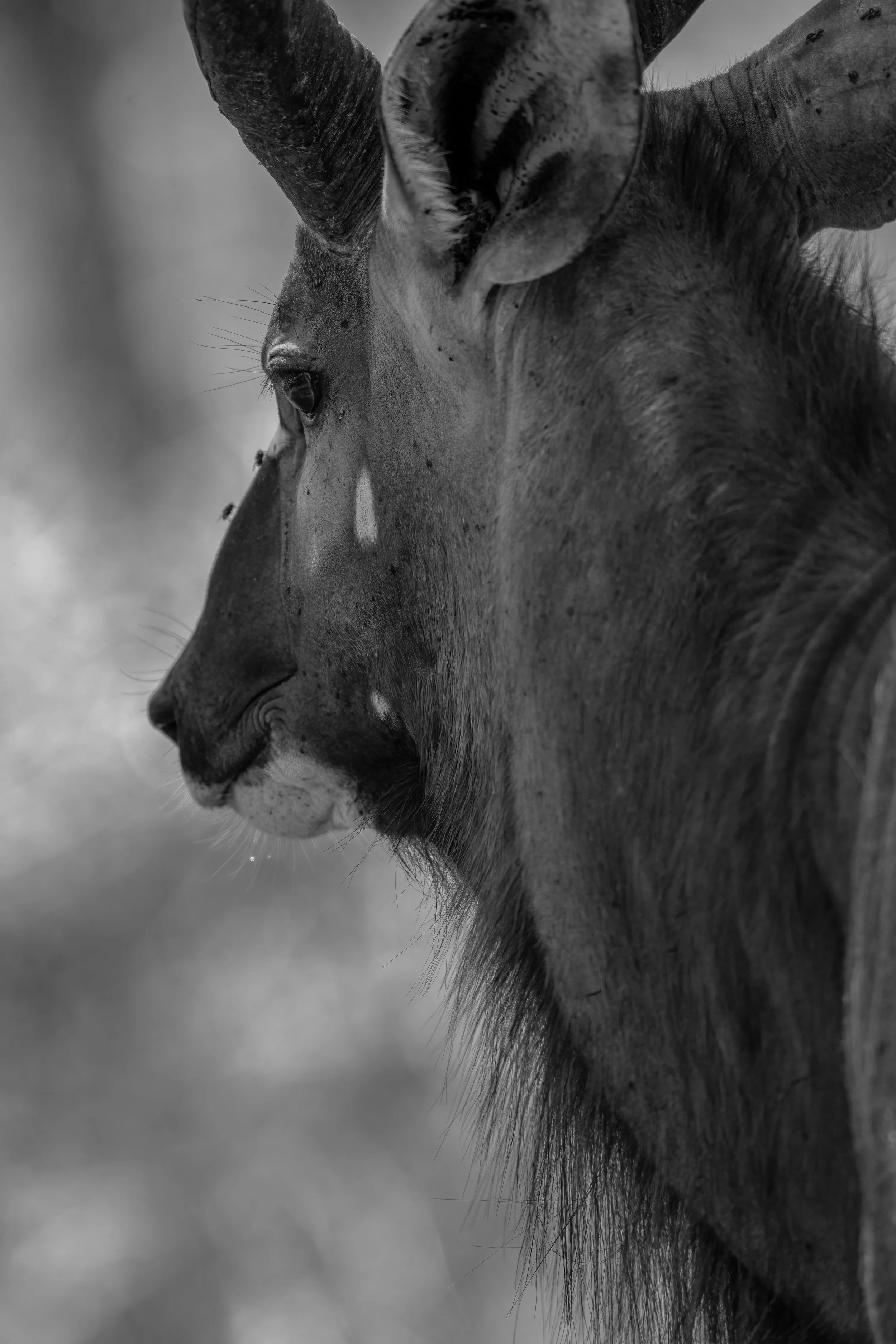  Nature-94.jpg