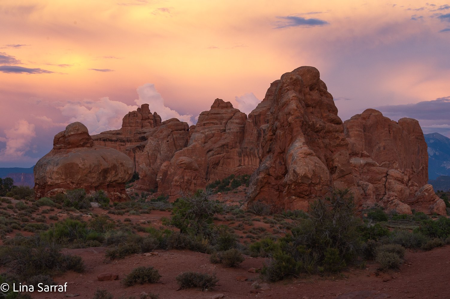  NP.DSC_1428227.jpg