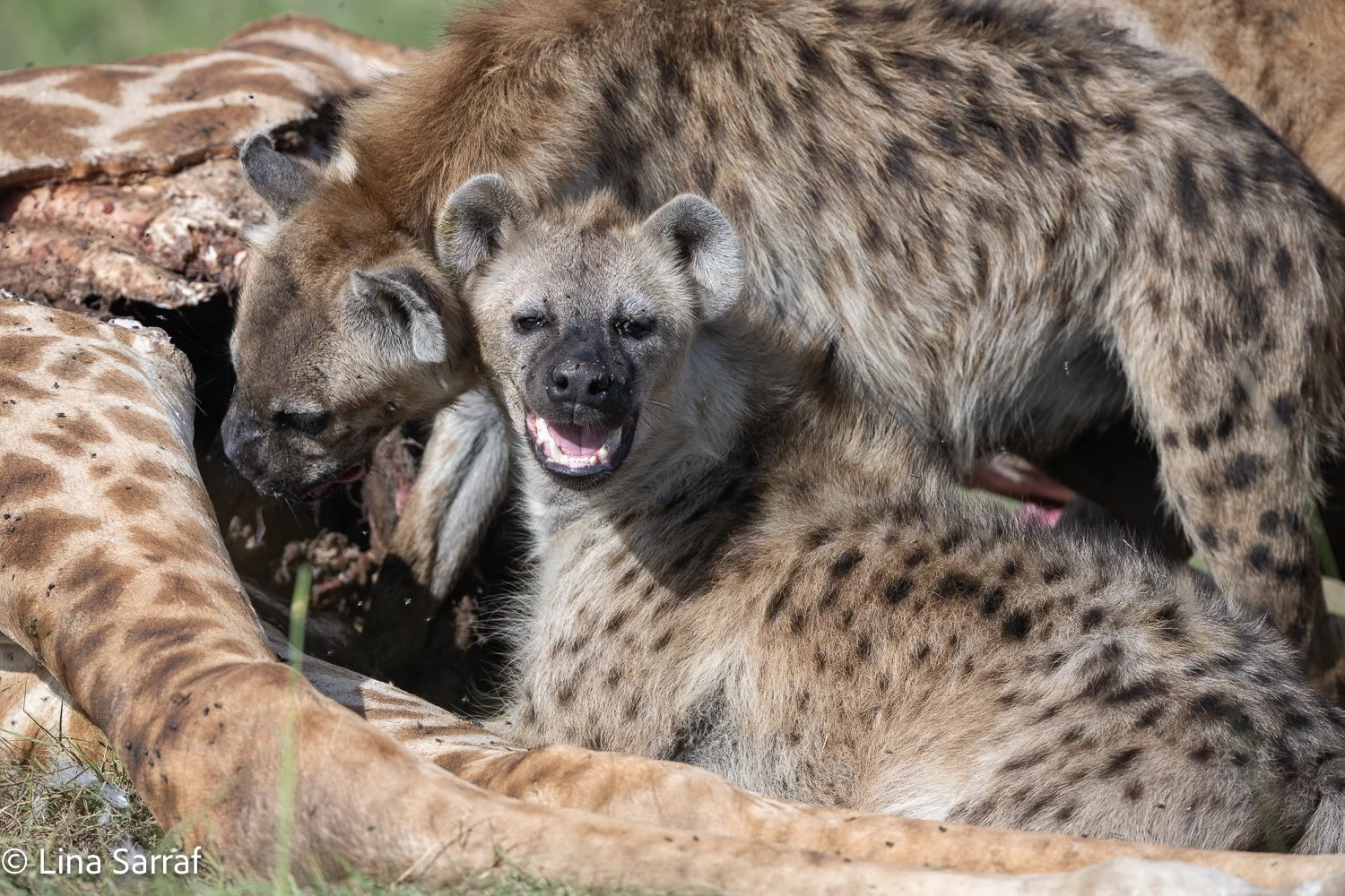  Africa Z9D_0537379.jpg