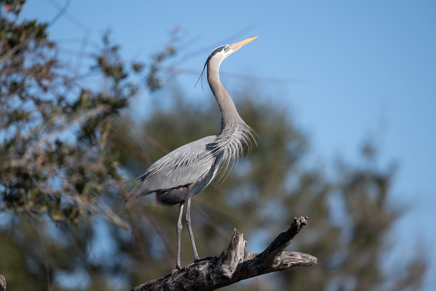 FloridaZ9D_735567.jpg