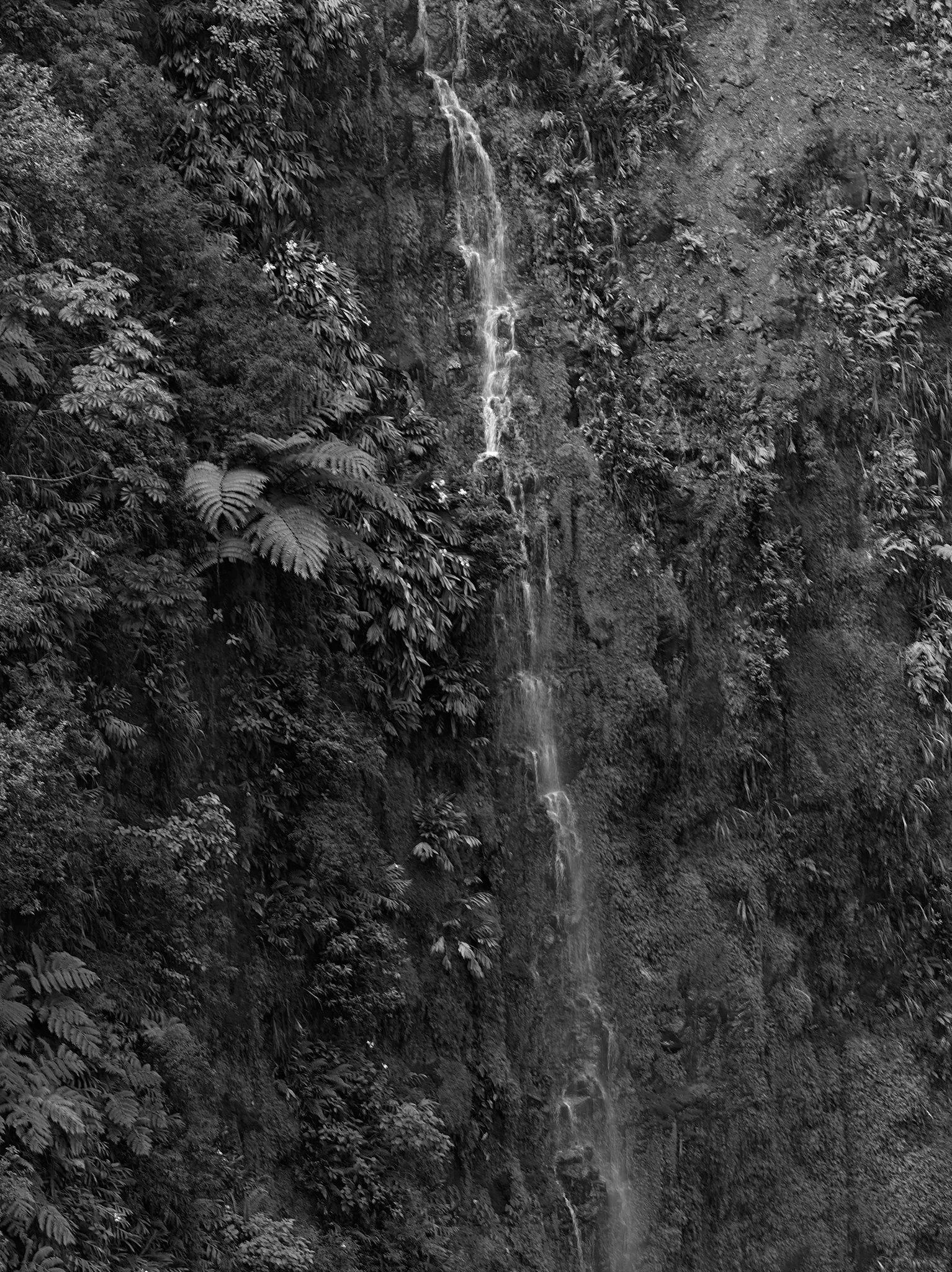 M_031101 2.jpg
