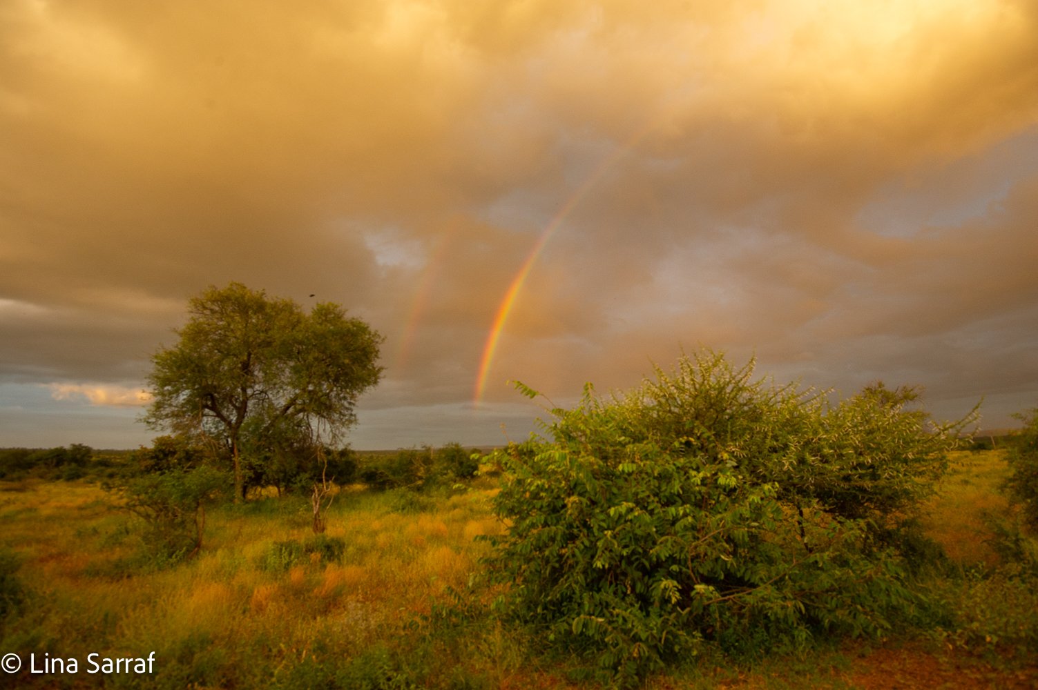  AfricaDSC_50311533.jpg