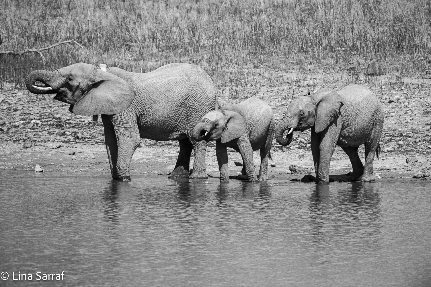  AfricaDSC_06159.jpg