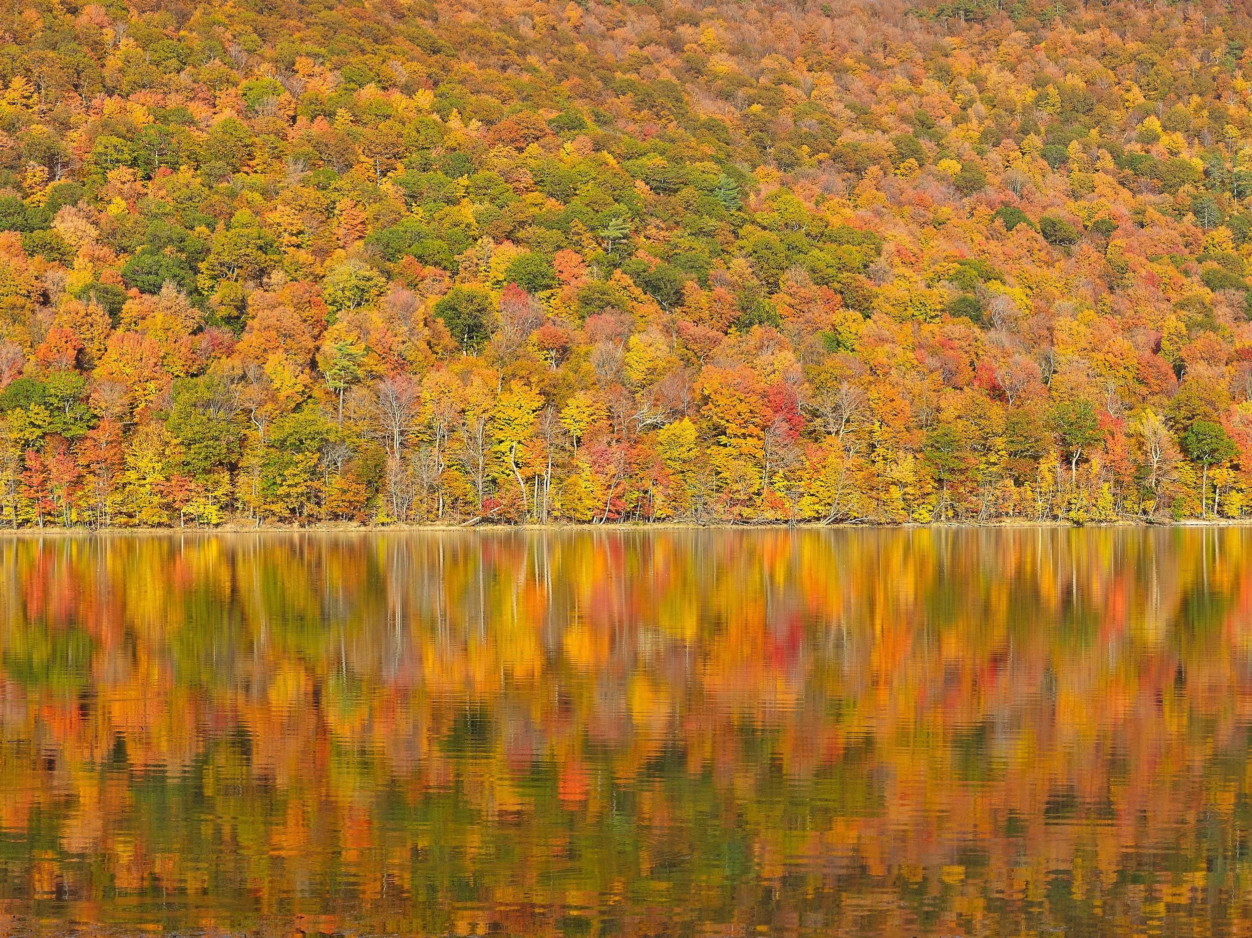 Autumn scene of a colorful forest reflected in a calm lake.