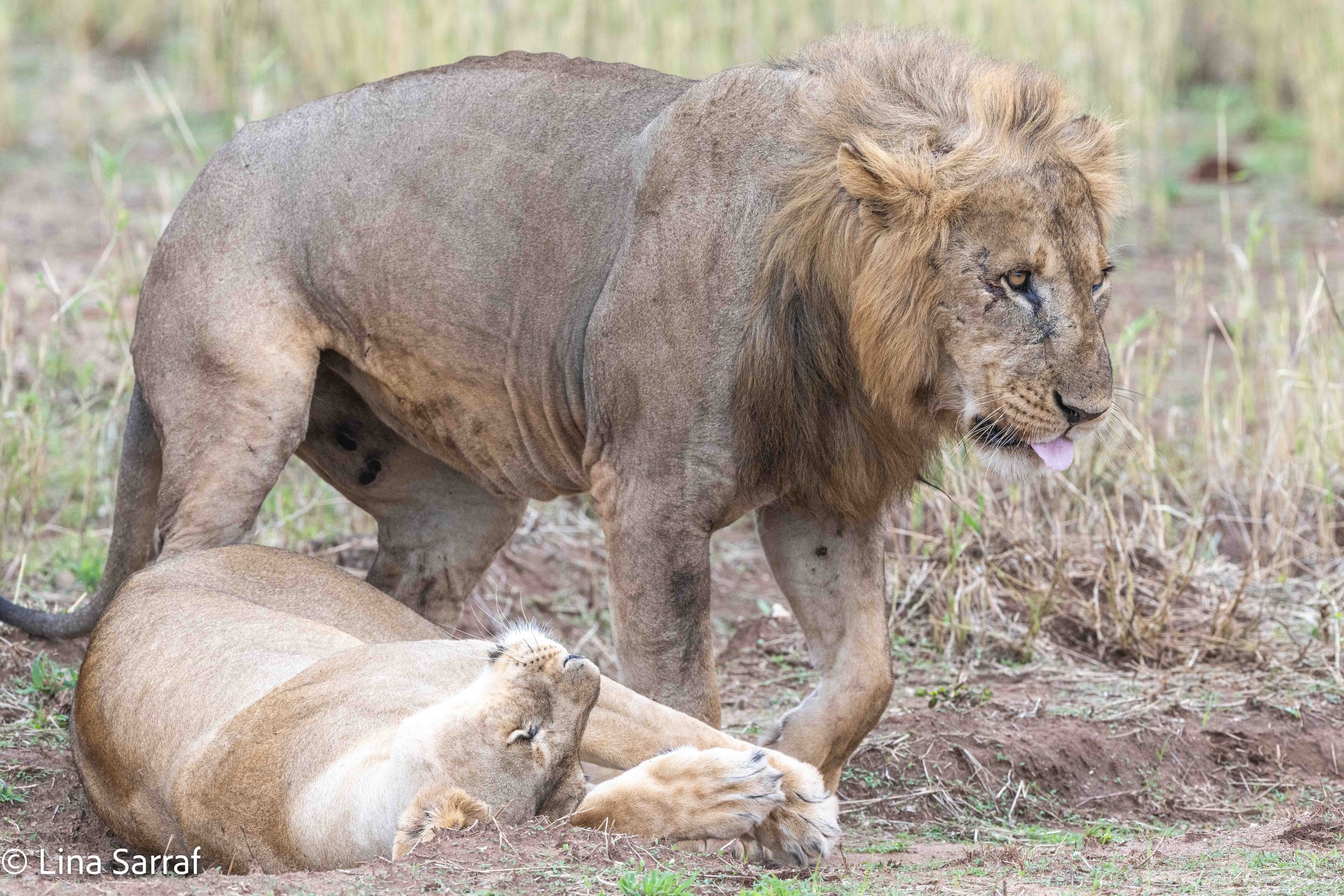  wildlife-100.jpg