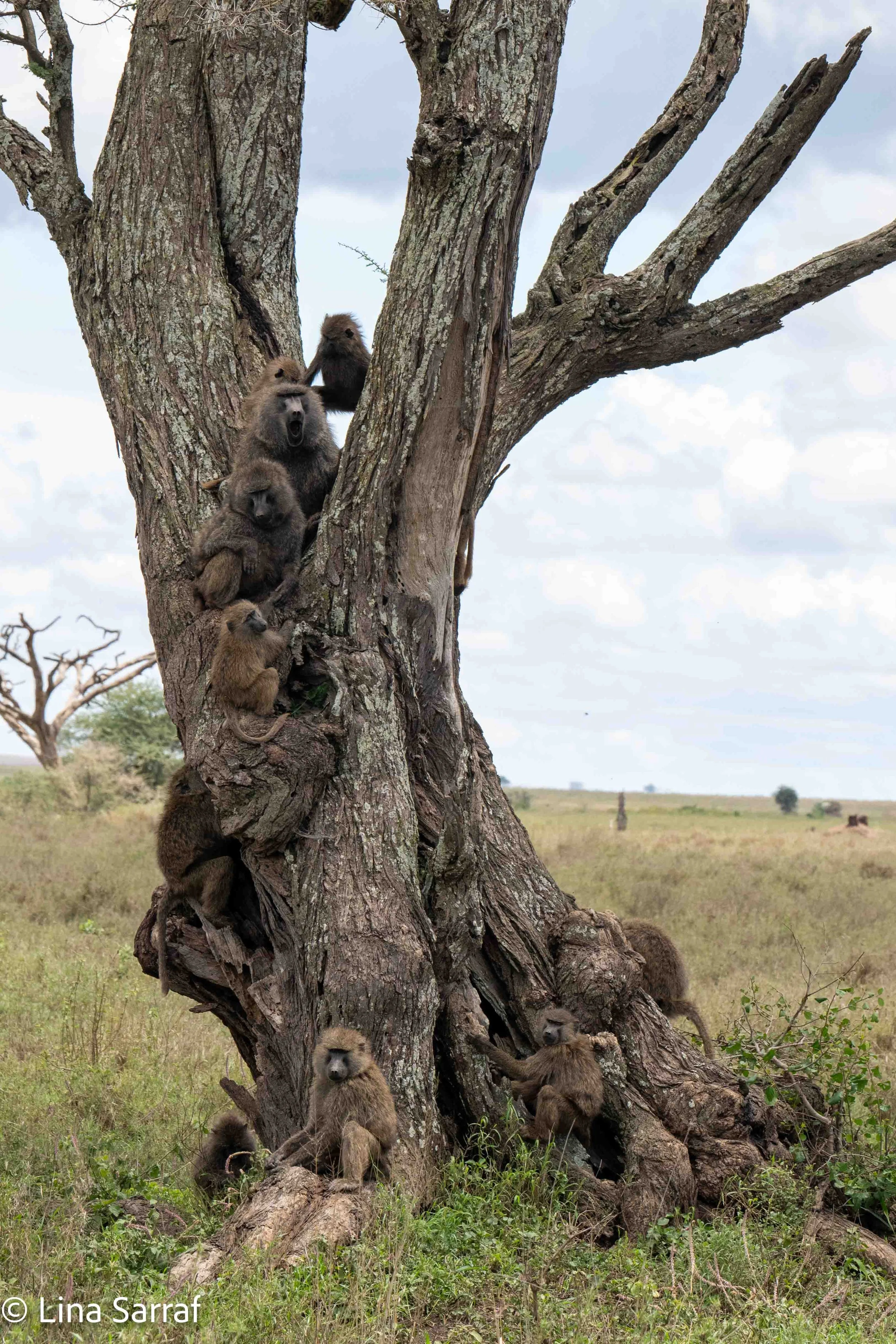  wildlife-37.jpg