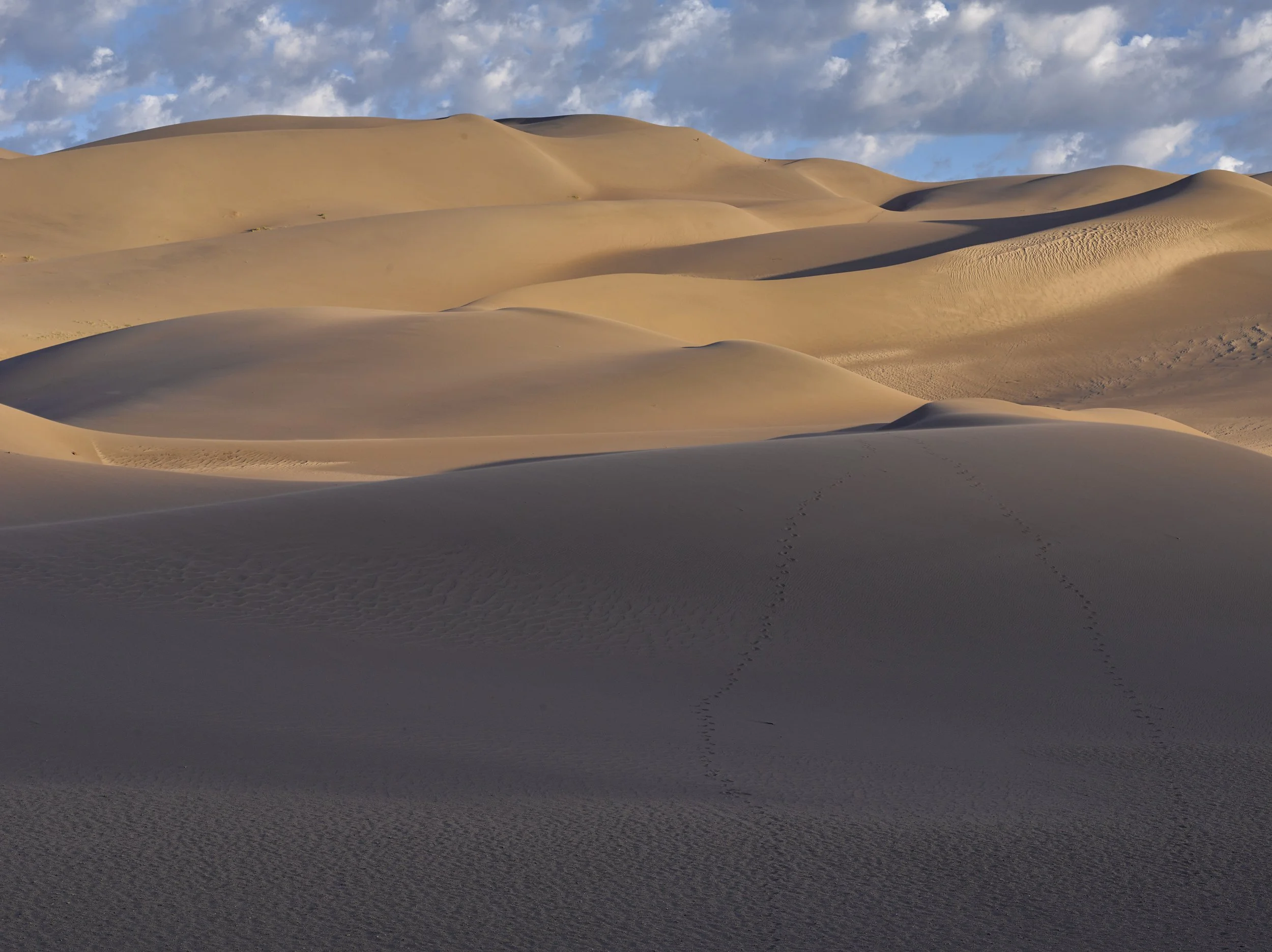 paysage 44.jpg