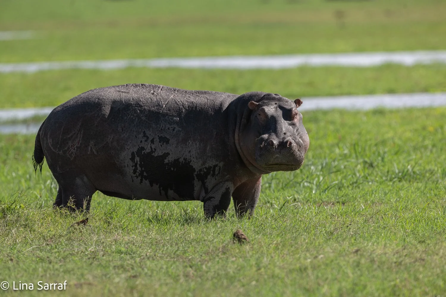  Africa Z9D_90011655.jpg