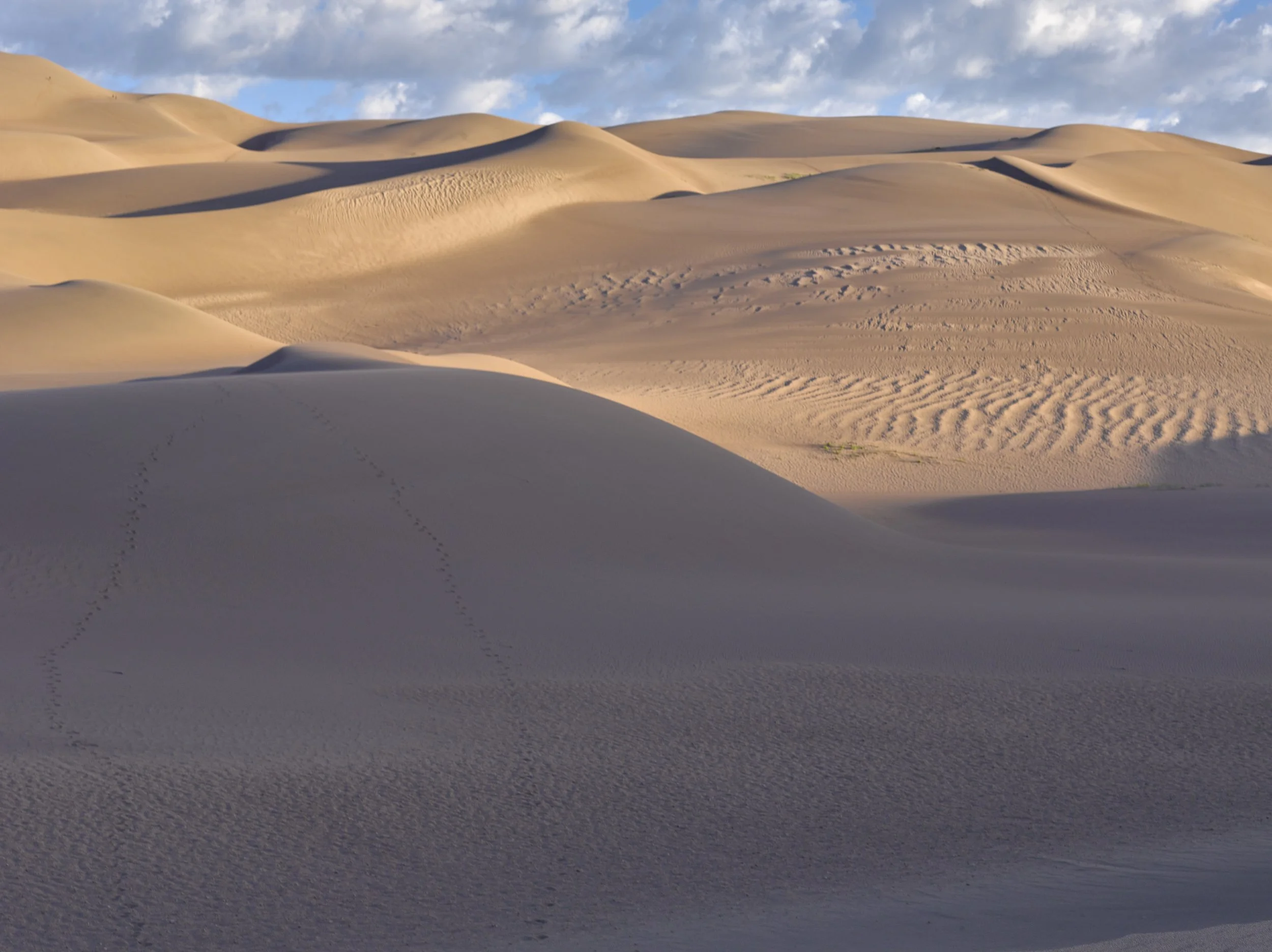 paysage 42.jpg