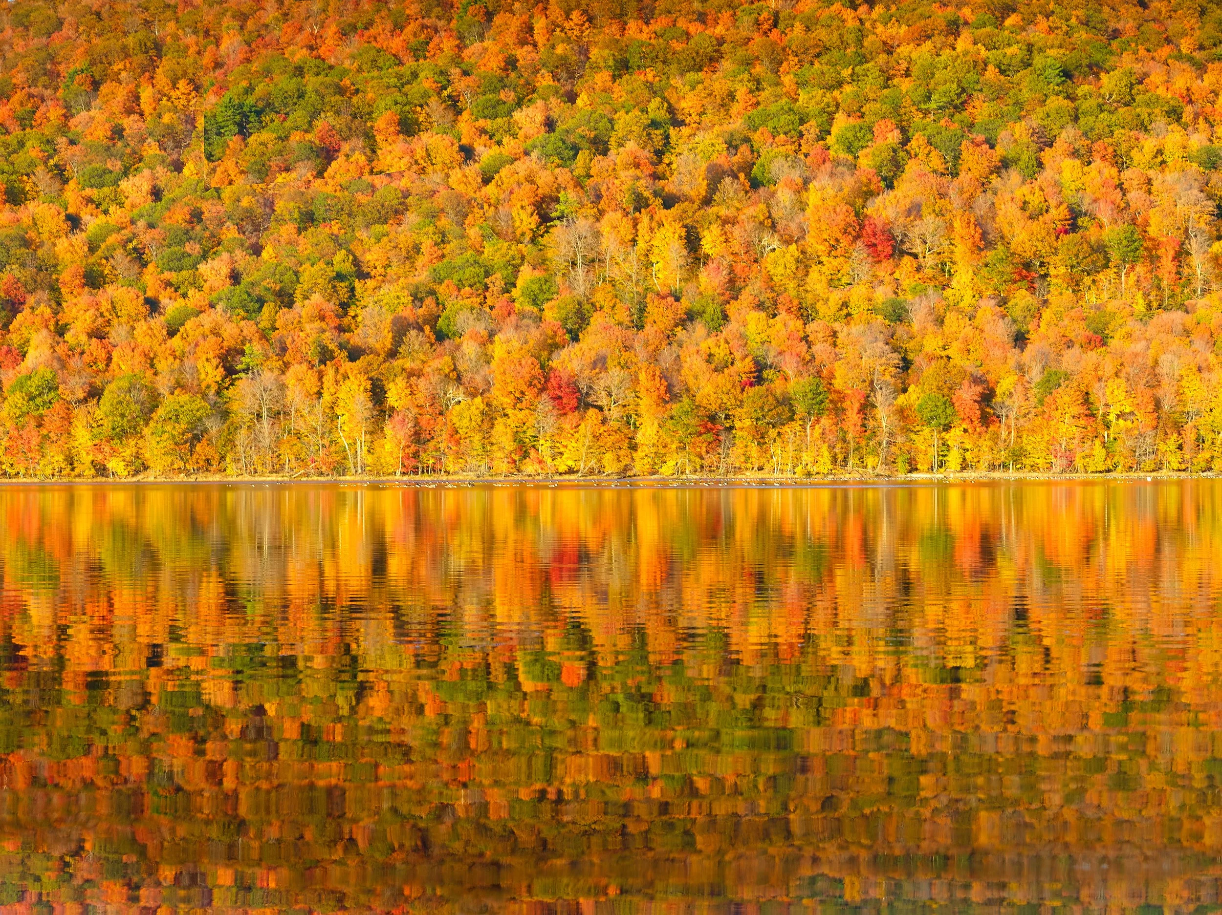 Automn 17.jpg