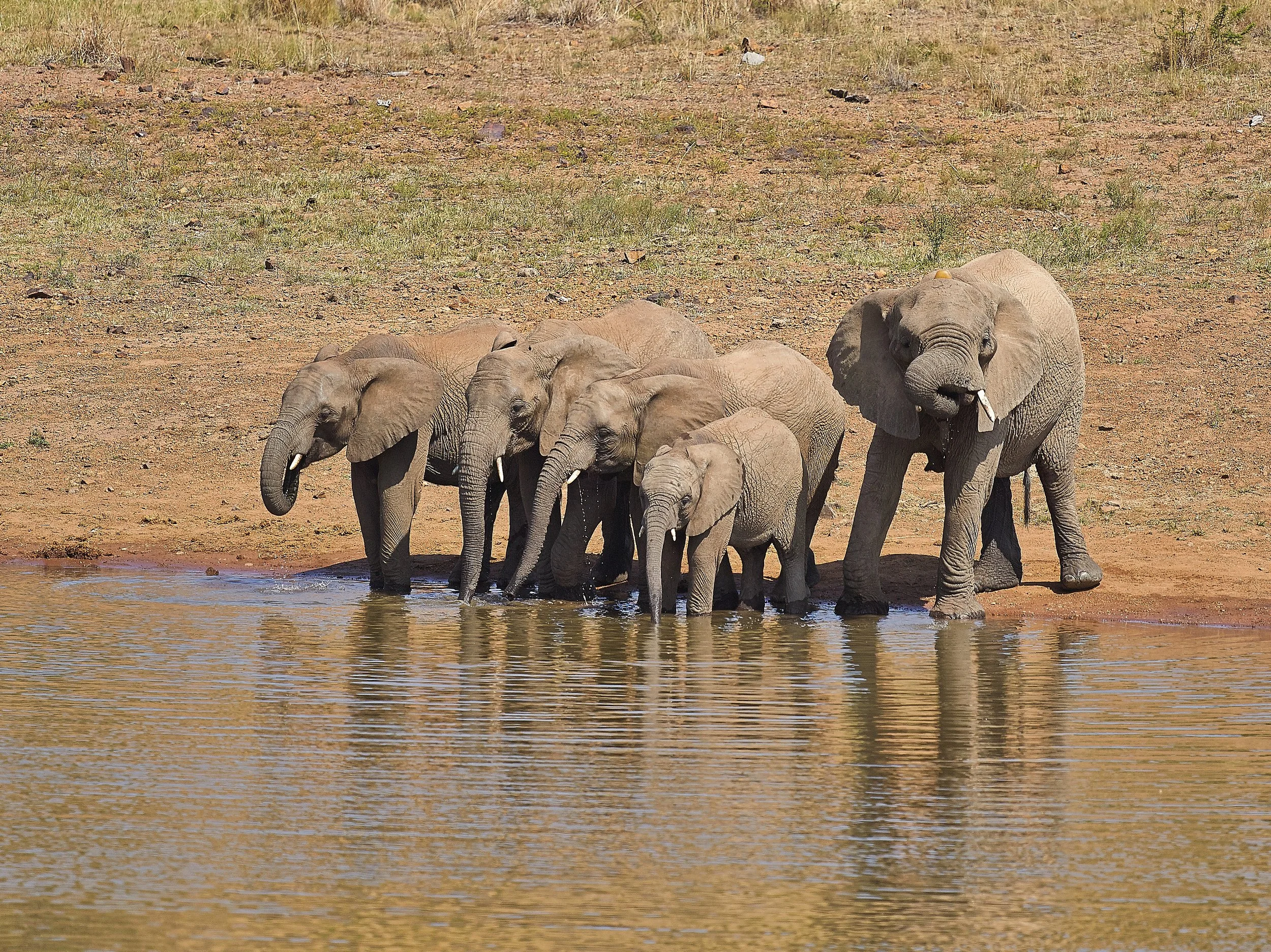 afrique 11 3.jpg