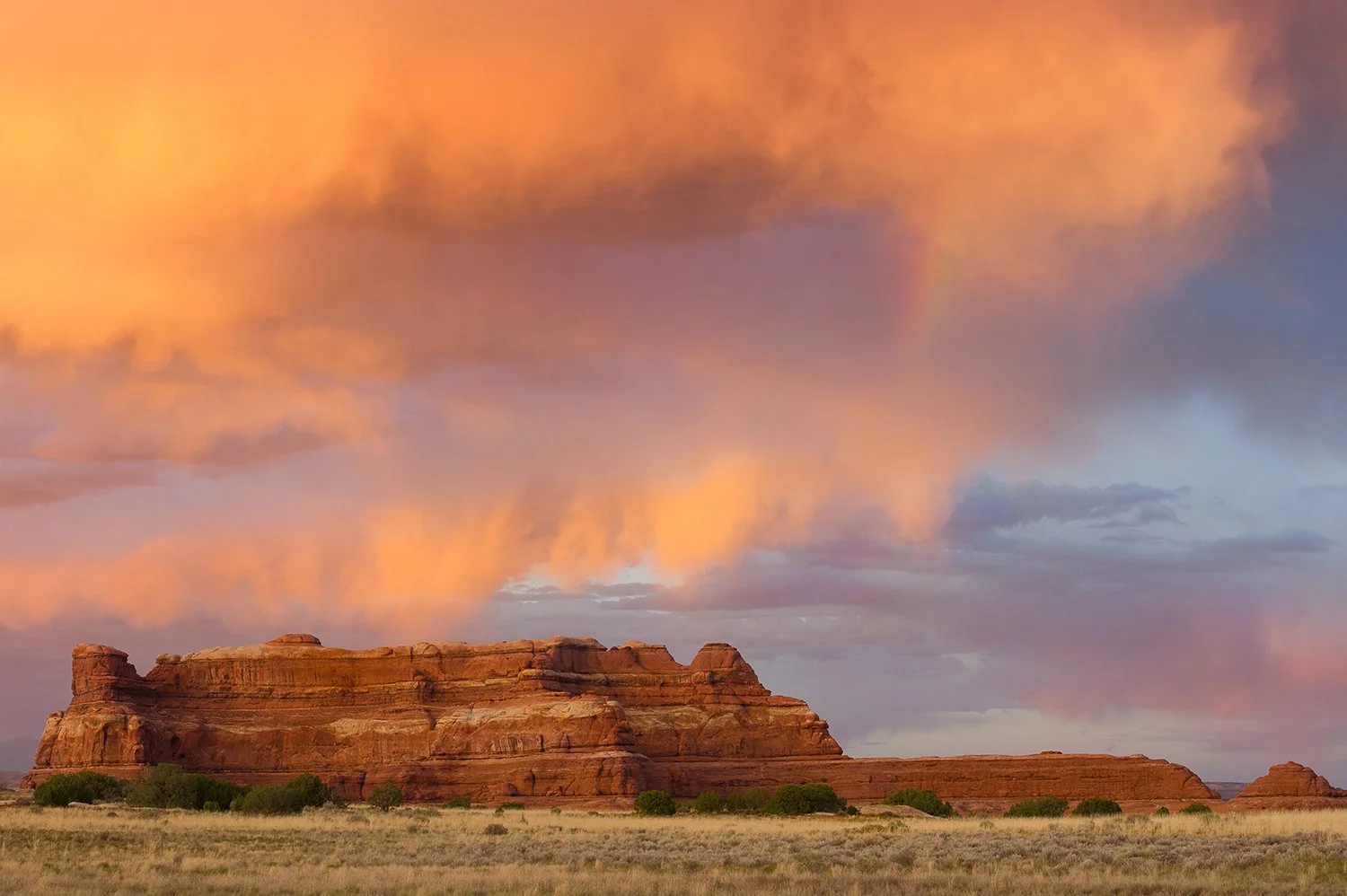  LinaSarraf_CapitolReef.jpg