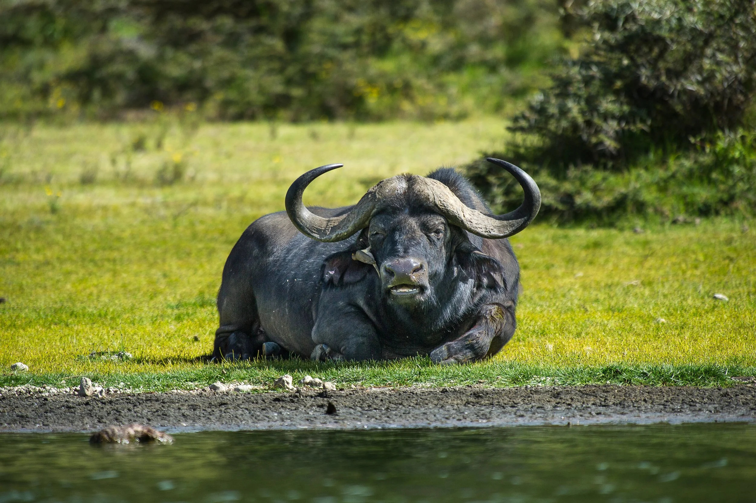  afrique-8.jpg