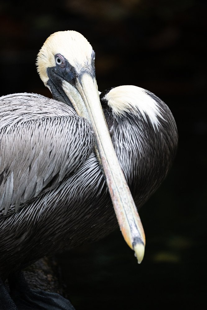 FloridaZ9D_3107222.jpg