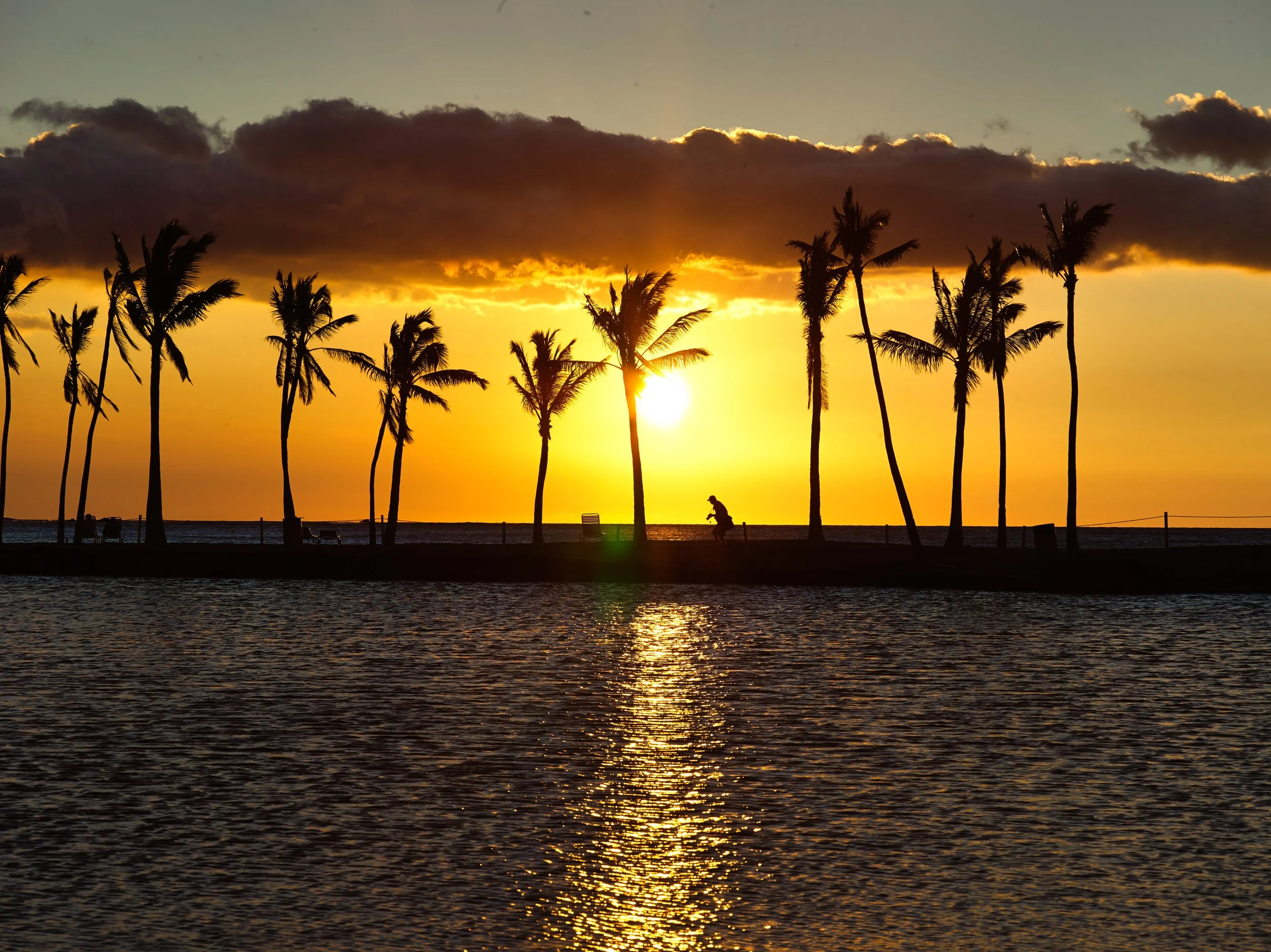 Mamiya Hawaii 276.jpg