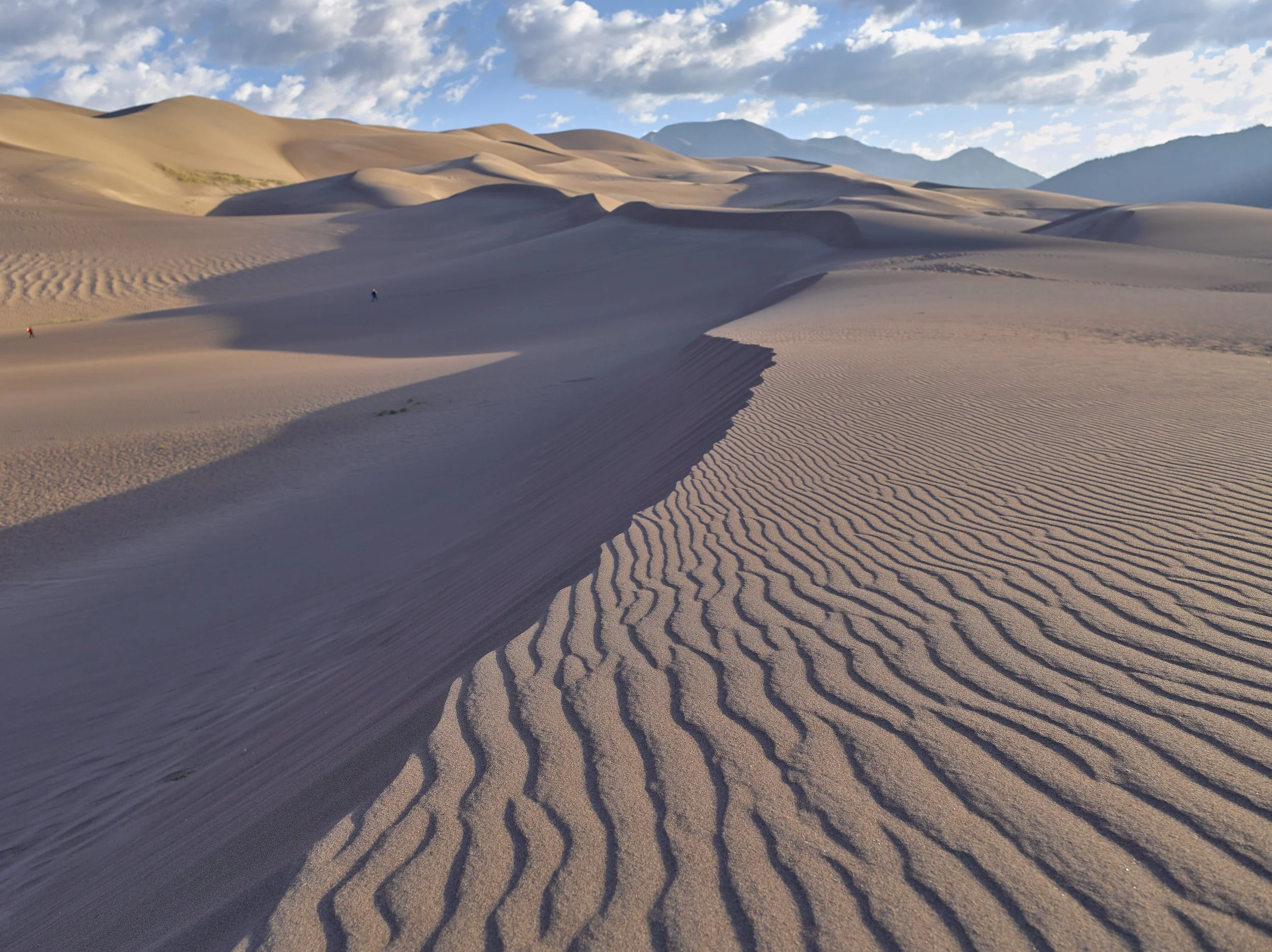 paysage 48.jpg