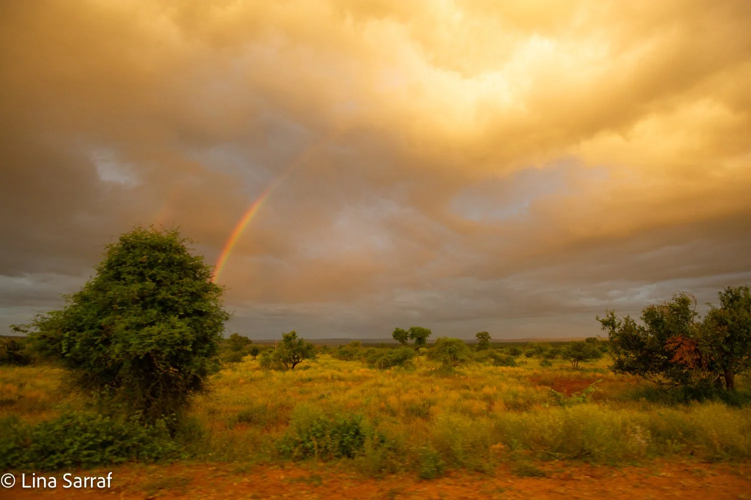  AfricaDSC_50341536.jpg