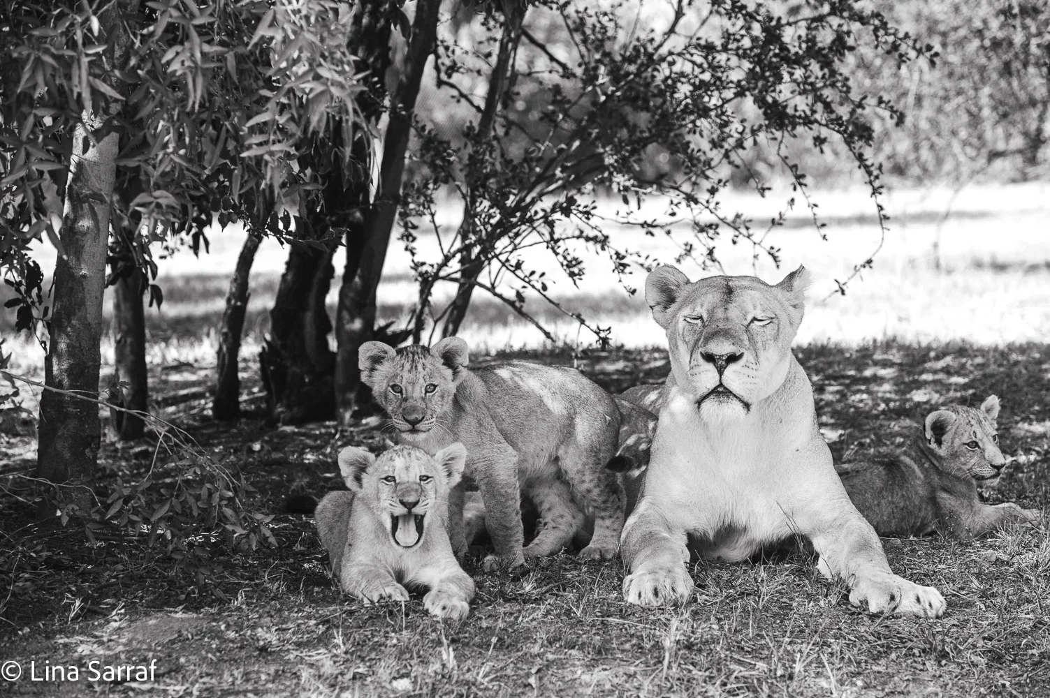 AfricaDSC_966814.jpg