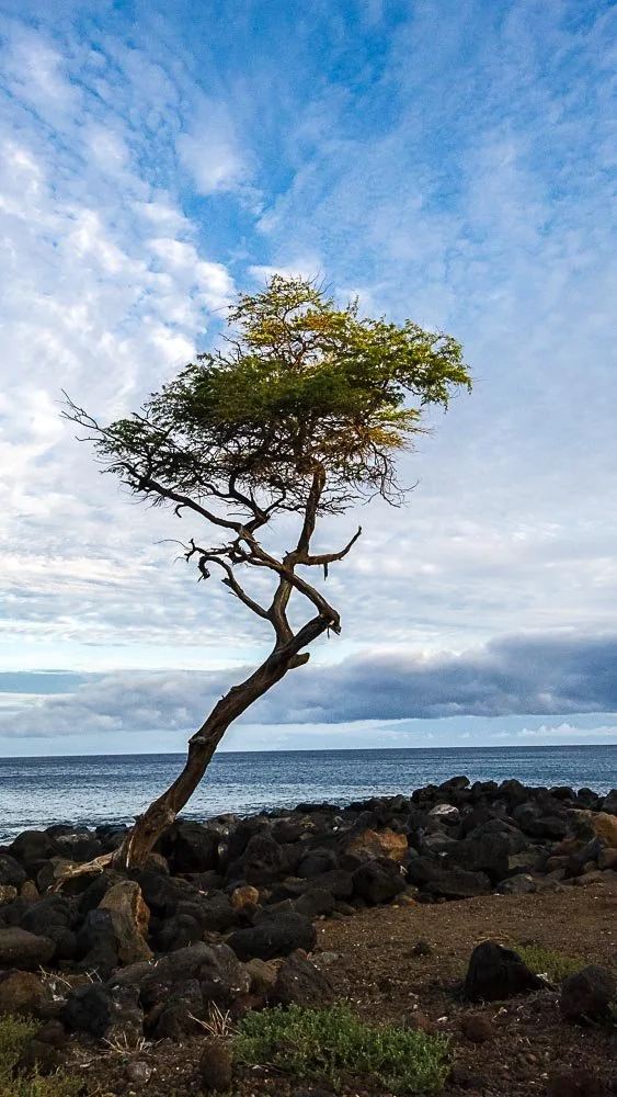  Hawaii-6.jpg