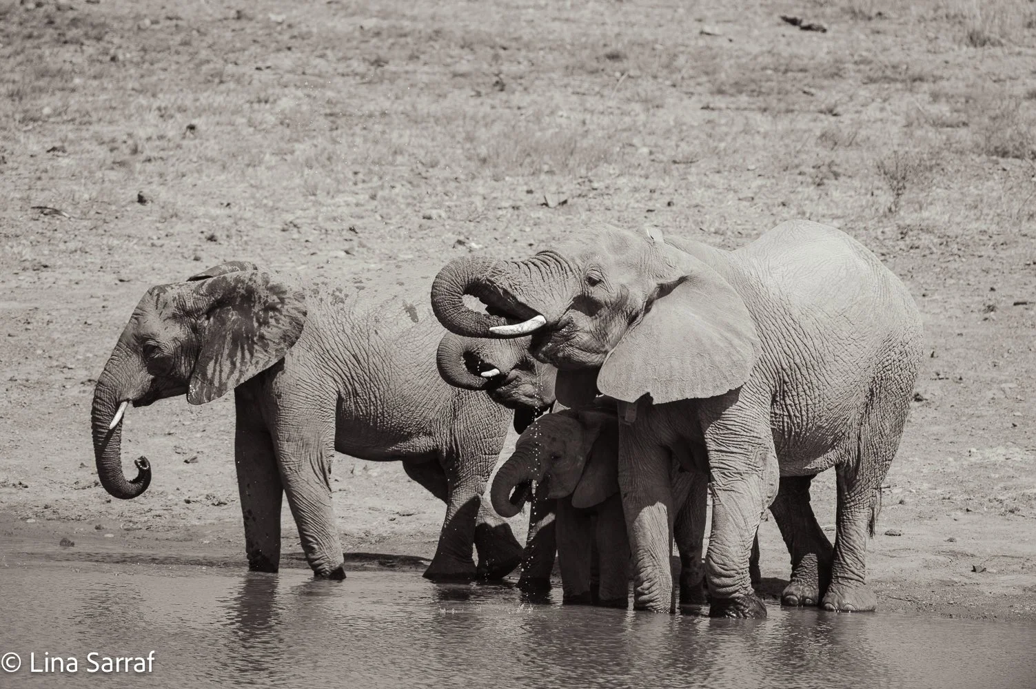  AfricaDSC_05542.jpg