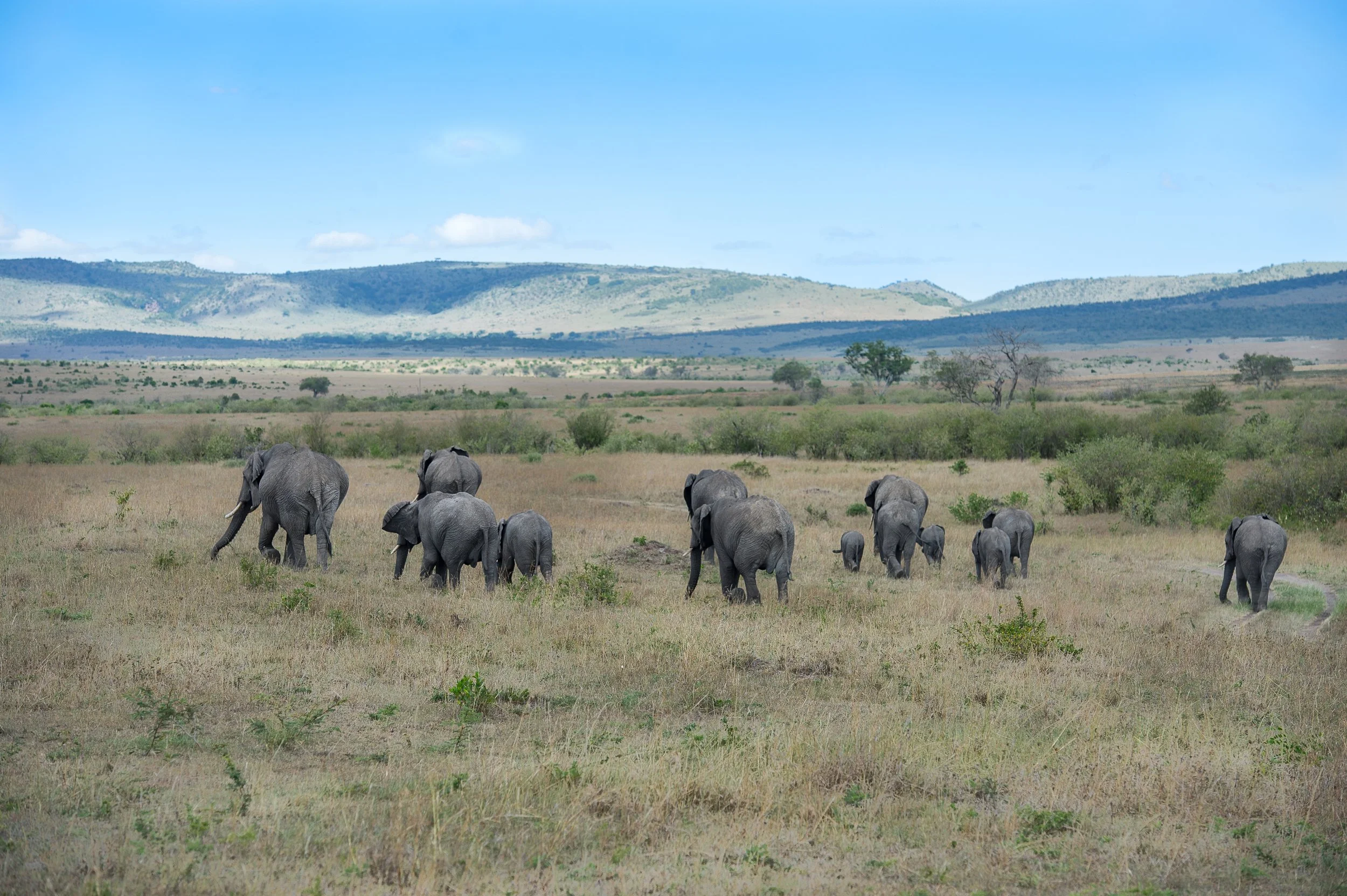  afrique-163.jpg