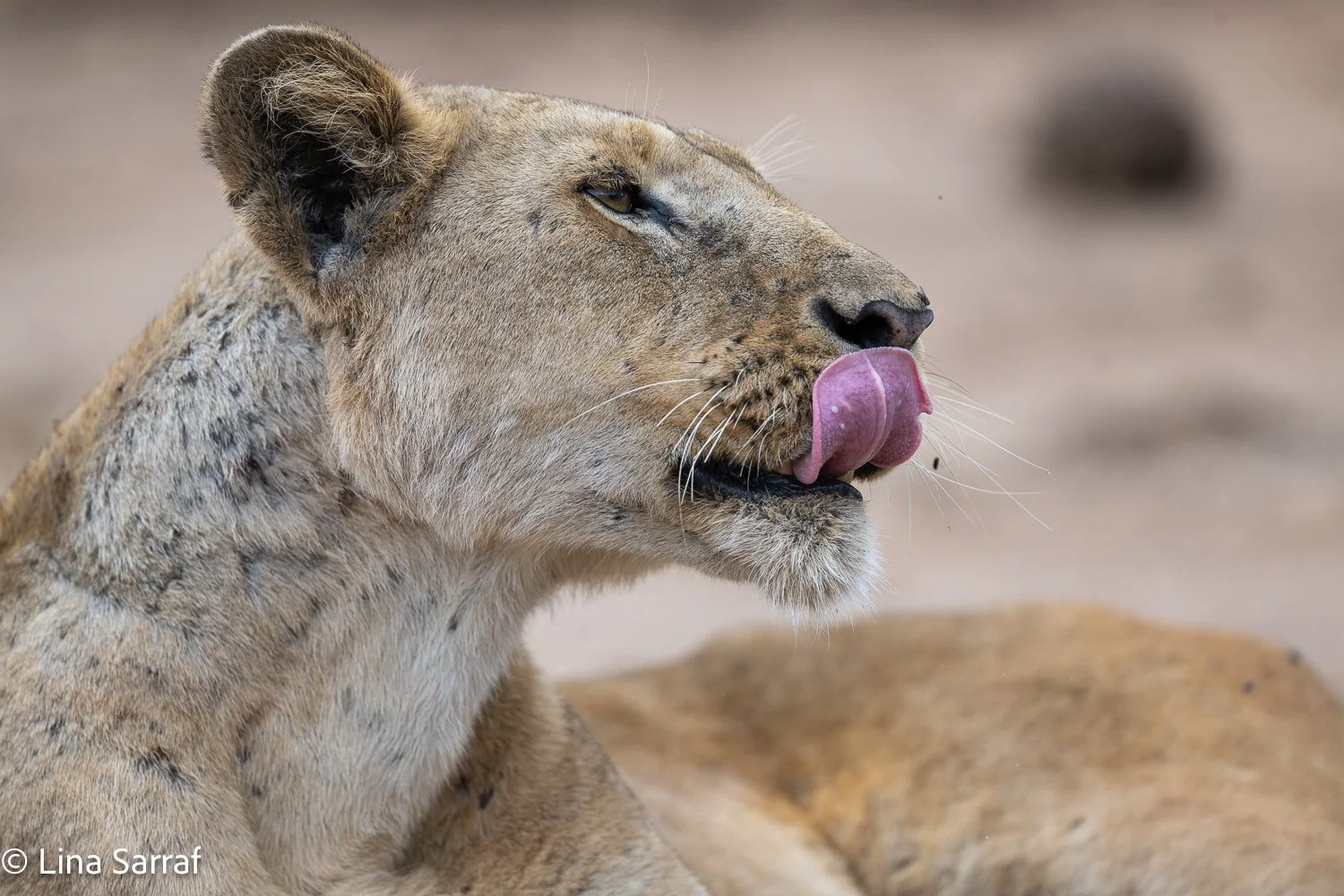  Africa Z9D_980017.jpg