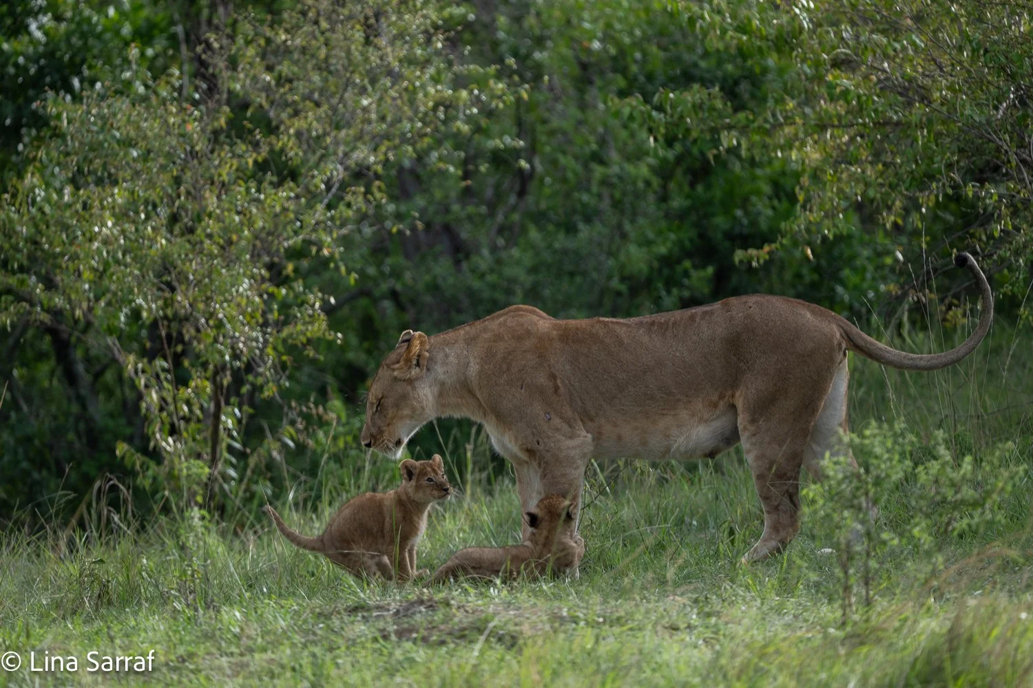  Africa Z9D_1064767.jpg