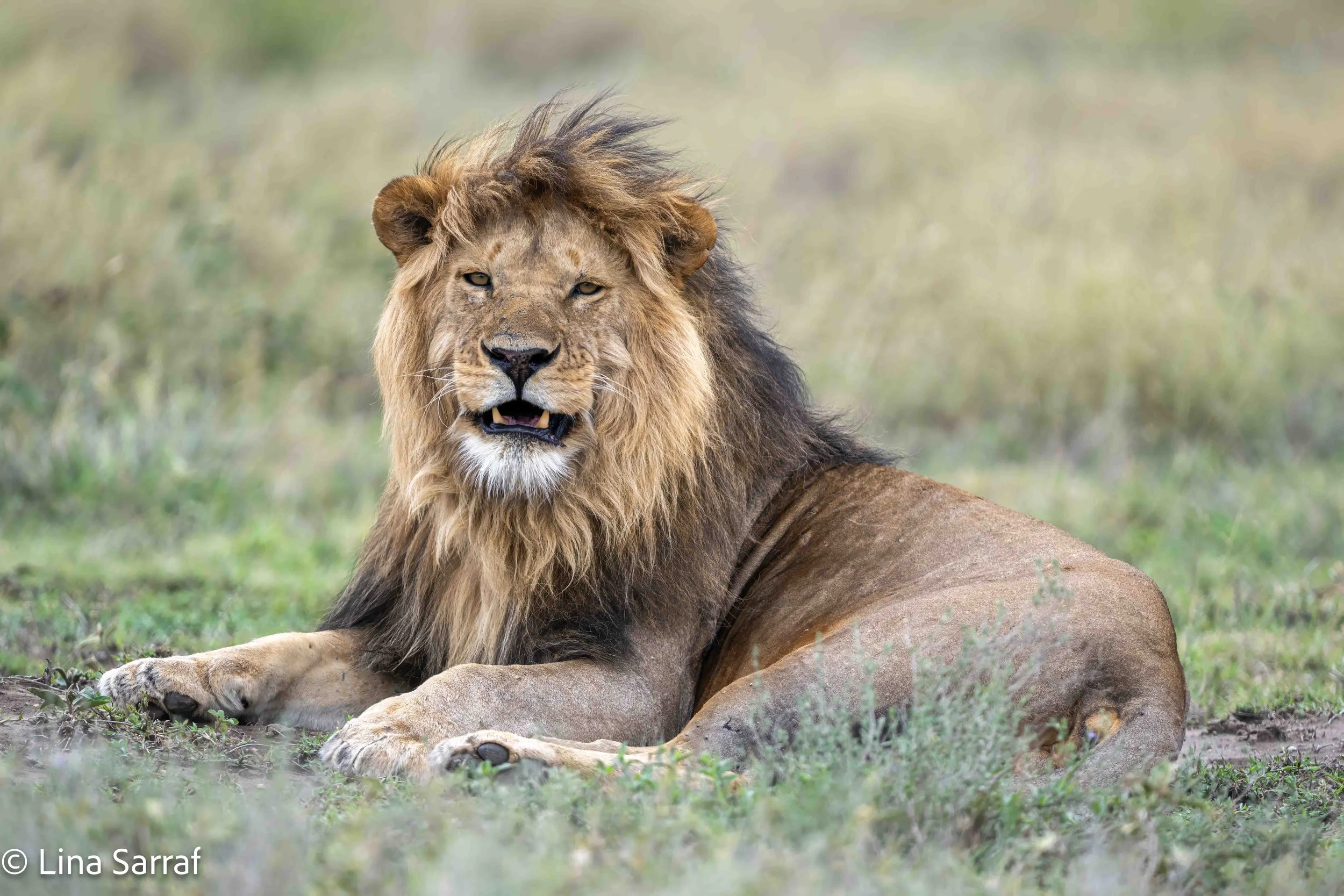 wildlife-43.jpg