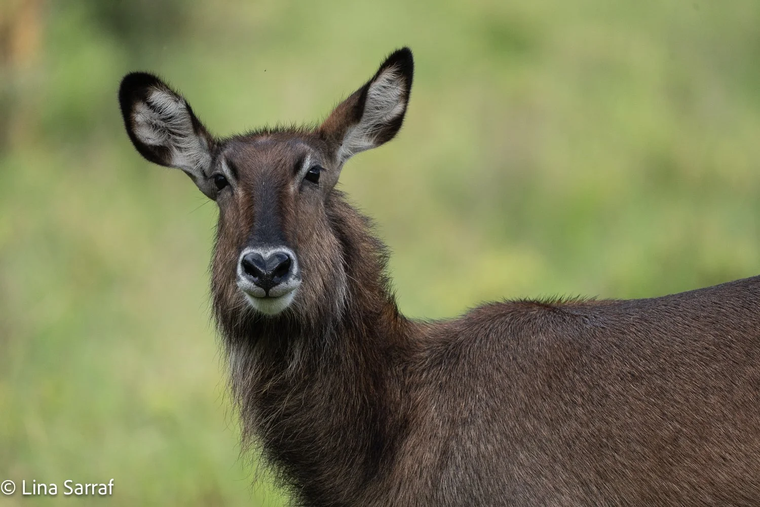  Africa Z9D_9909385.jpg