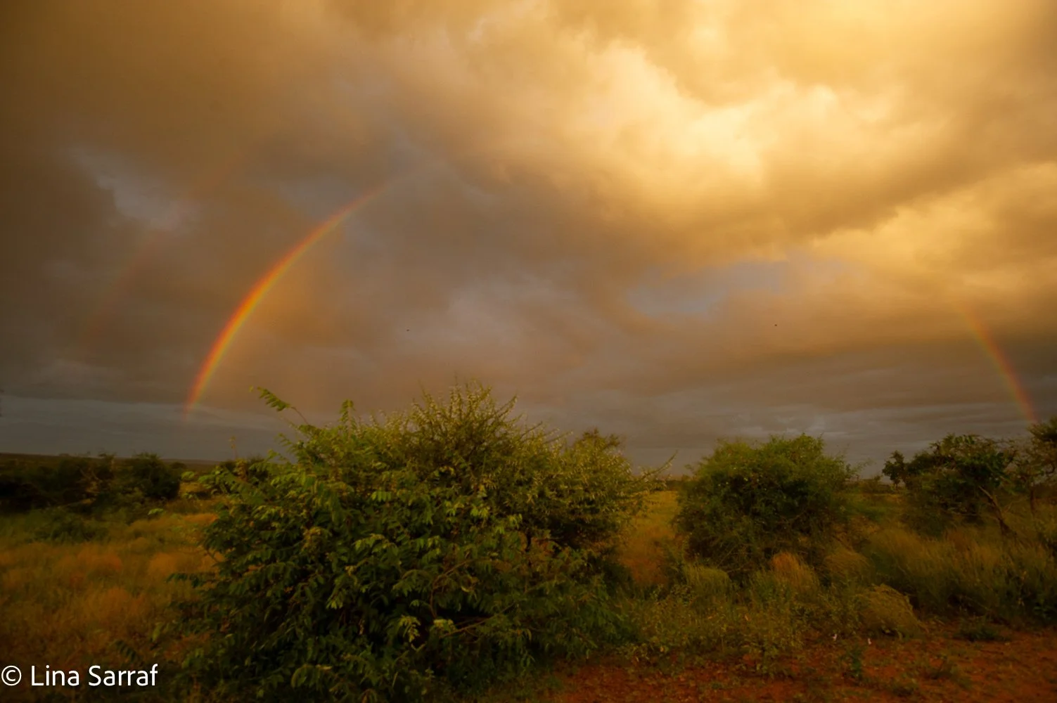  AfricaDSC_50231525.jpg