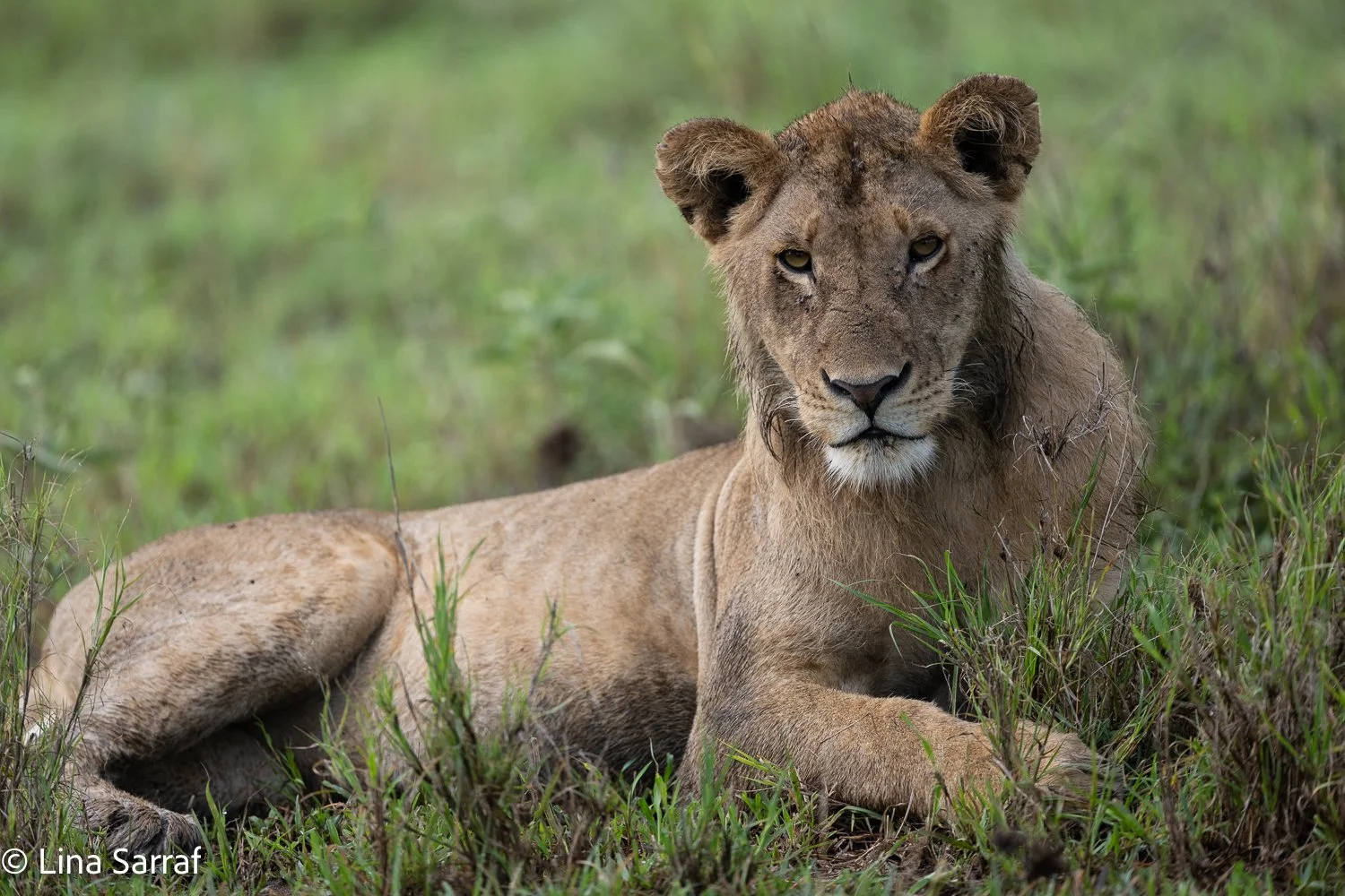  Africa Z9D_6003435.jpg