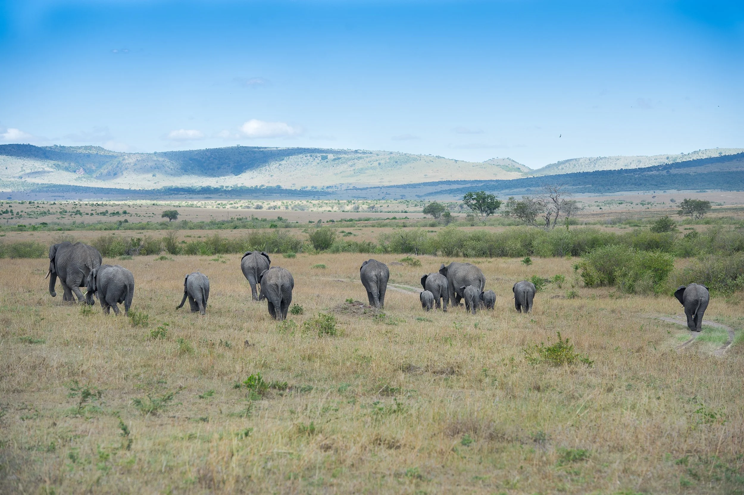  afrique-165.jpg