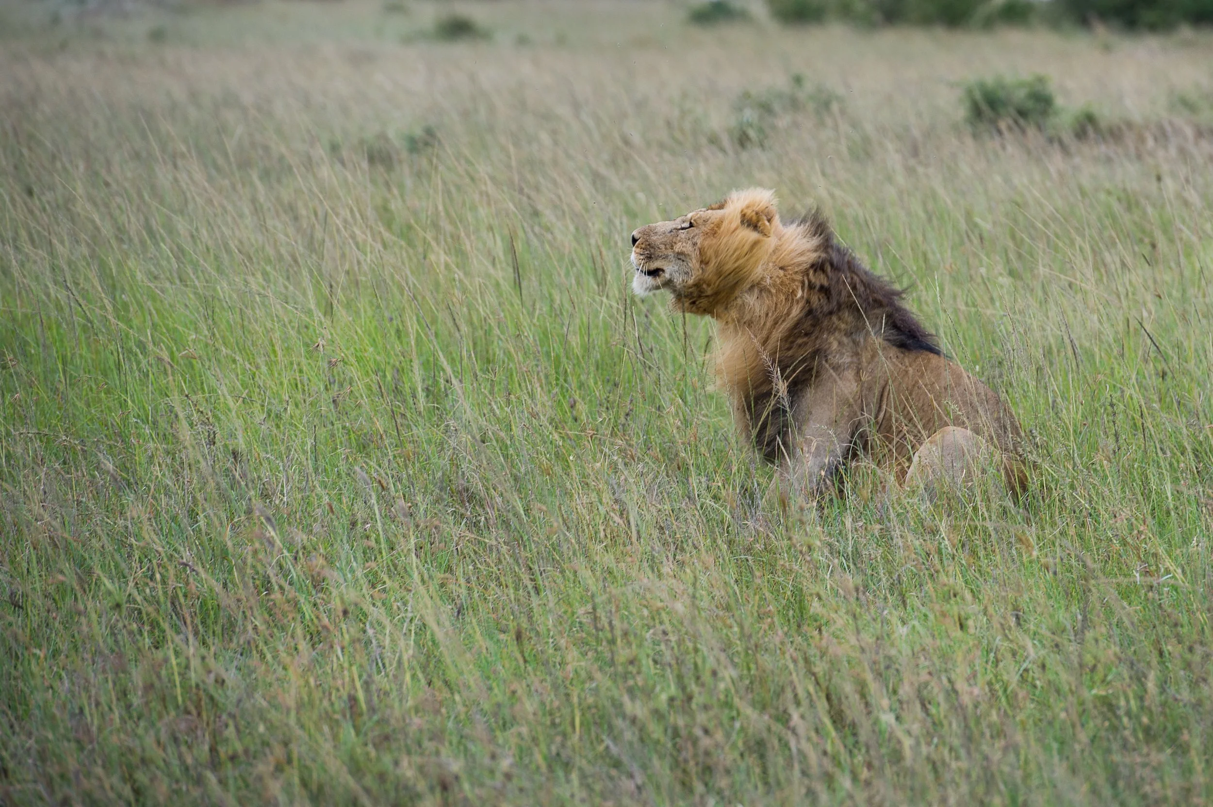  afrique-210.jpg
