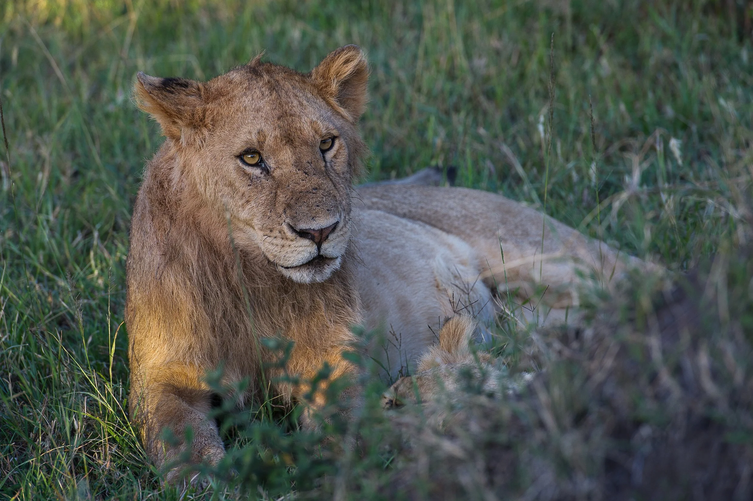  afrique-241.jpg