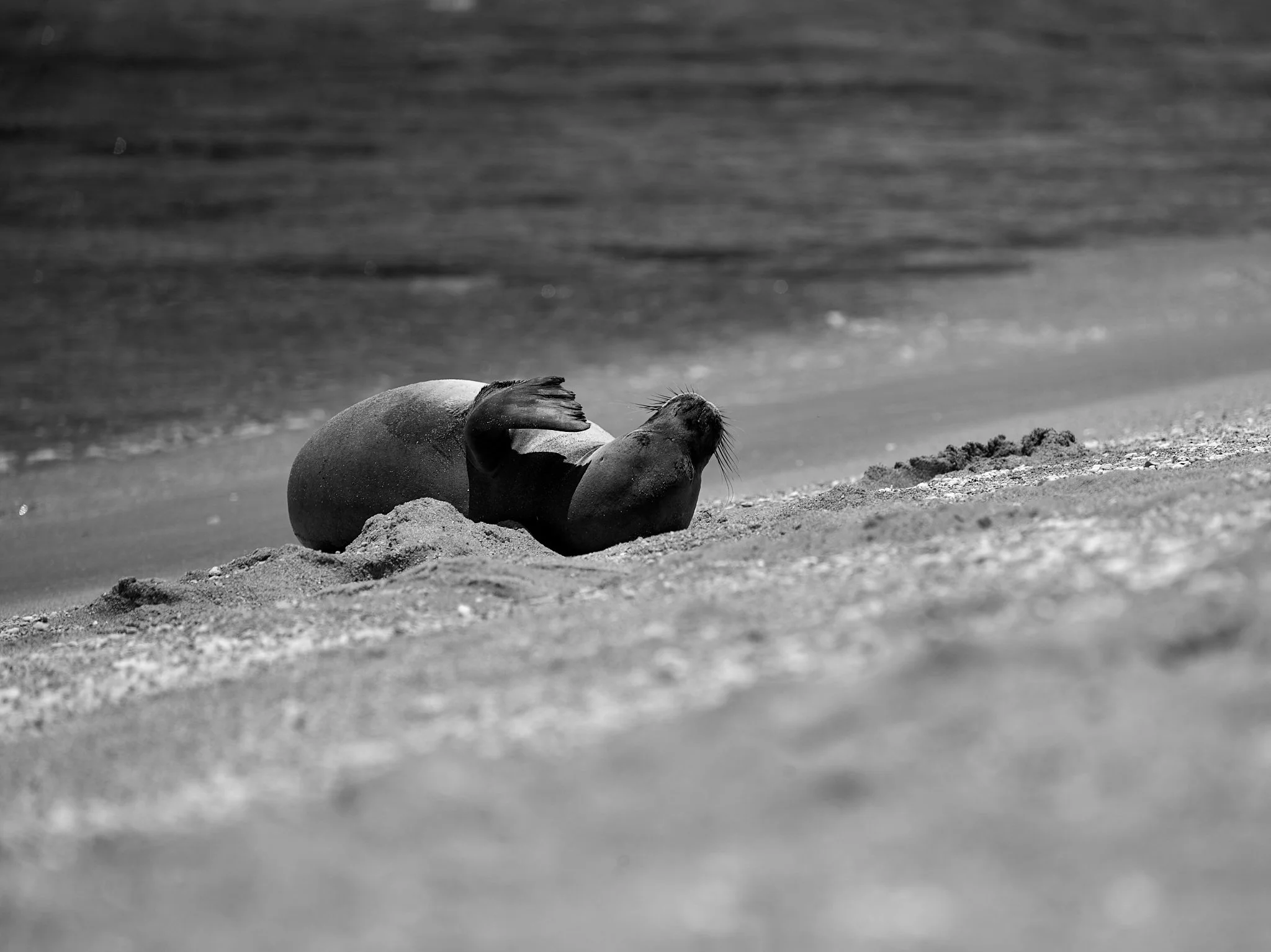Lina_019098 1.jpg