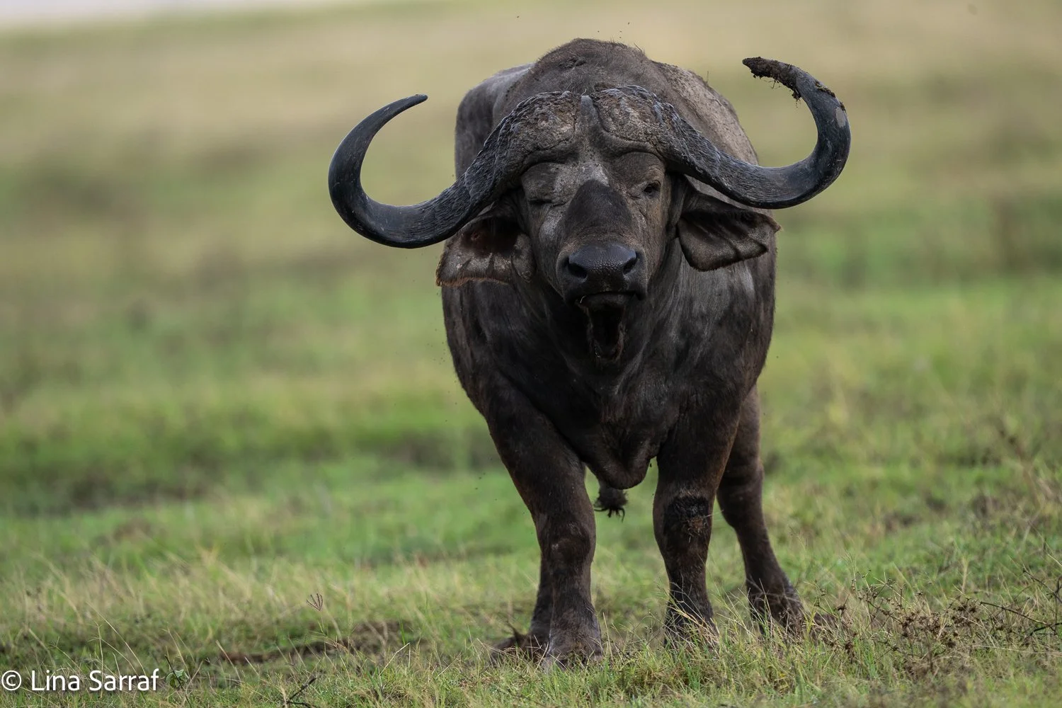  Africa Z9D_6963171.jpg