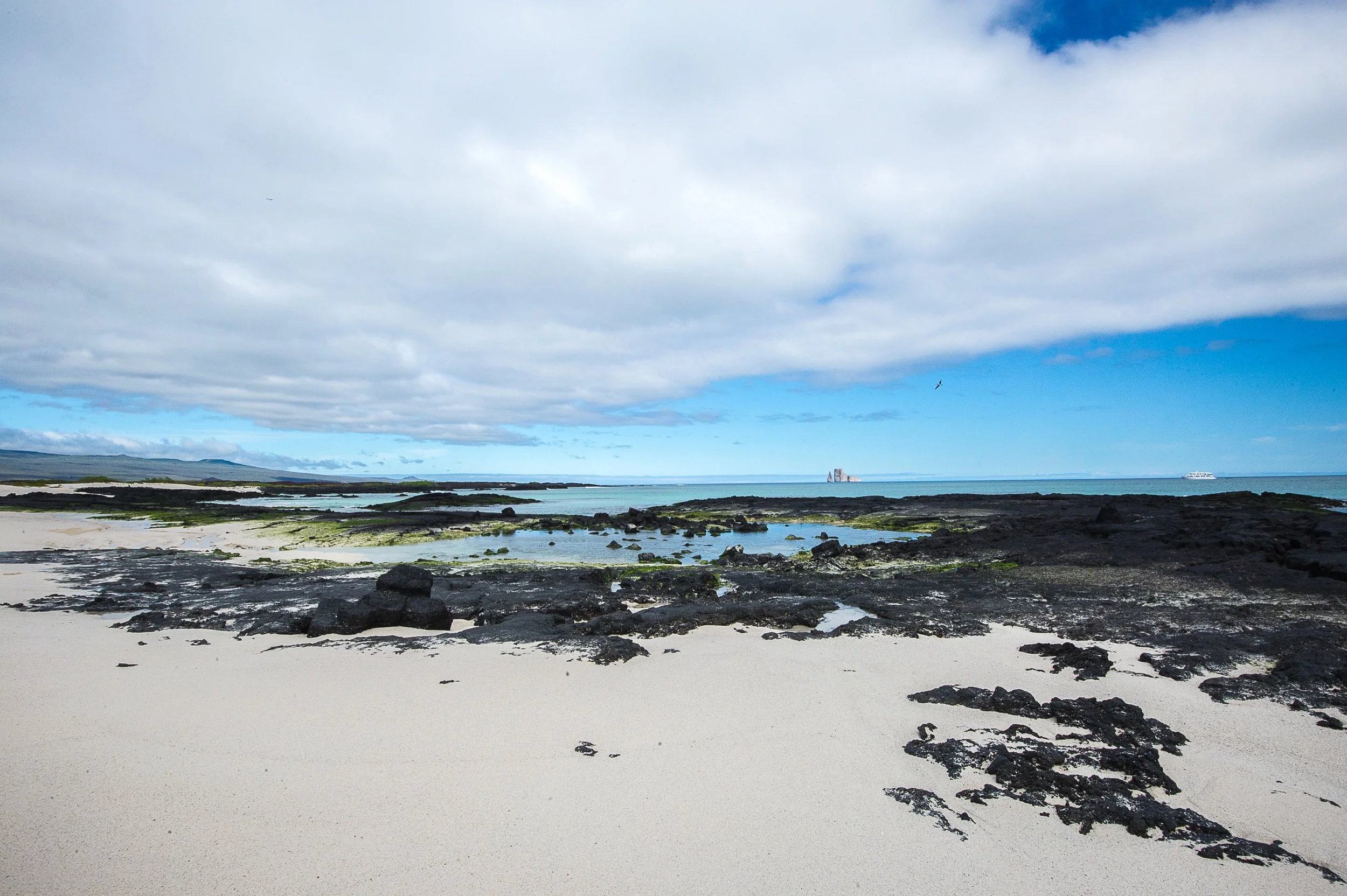 A sandy beach with black volcanic rocks, green algae, and a distant sea under a cloudy sky with patches of blue.