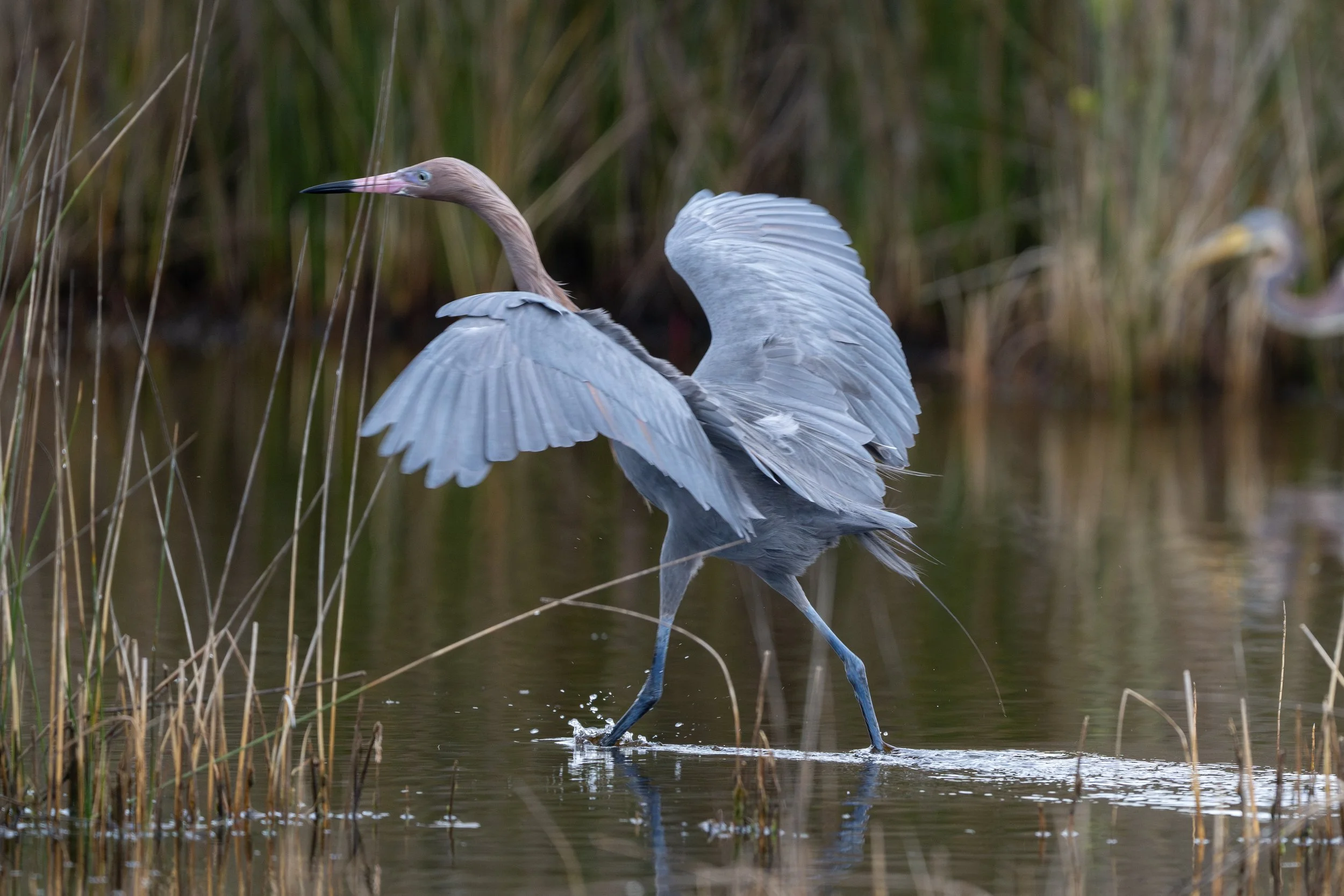  Florida-228.jpg