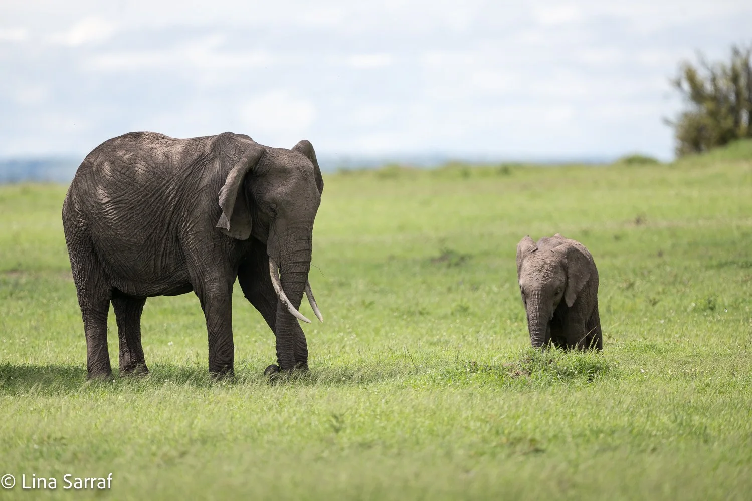  Africa Z9D_1929572.jpg